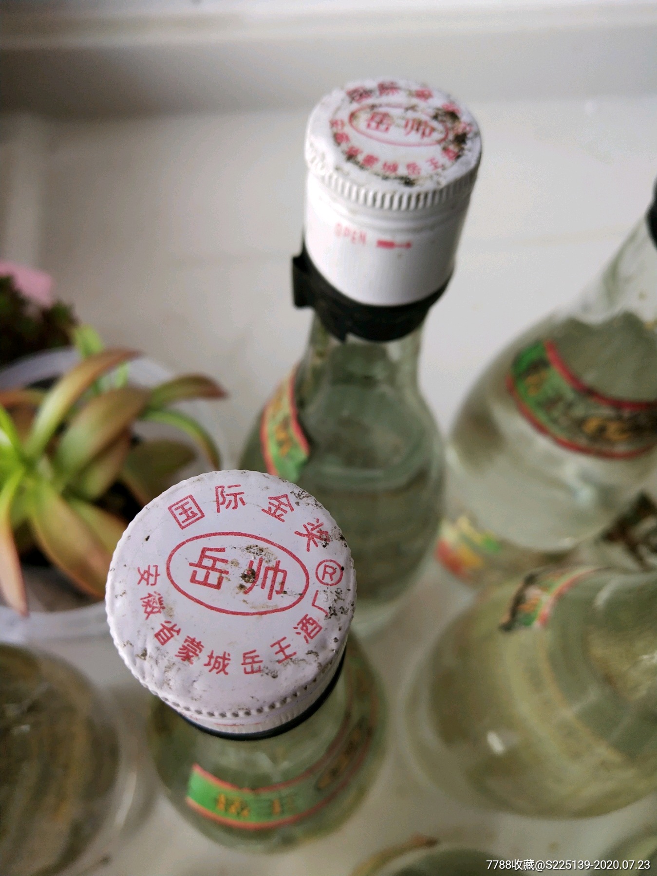 安徽蒙城岳王酒厂,荣获国际金奖,纯喝品,42度,12瓶,价格便宜,50一瓶