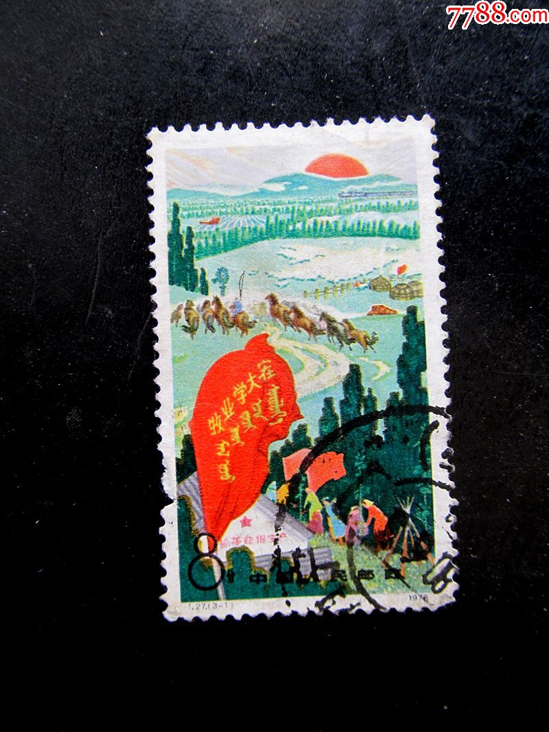70年代文革特色老邮票78年t字头8分信销邮票1枚牧业学大寨二简字保真
