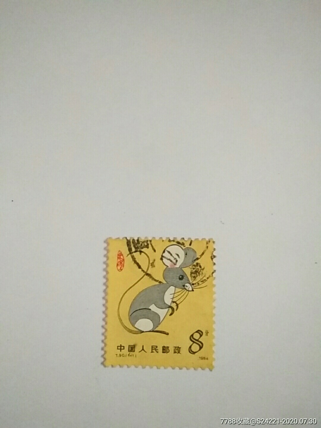鼠年1984年