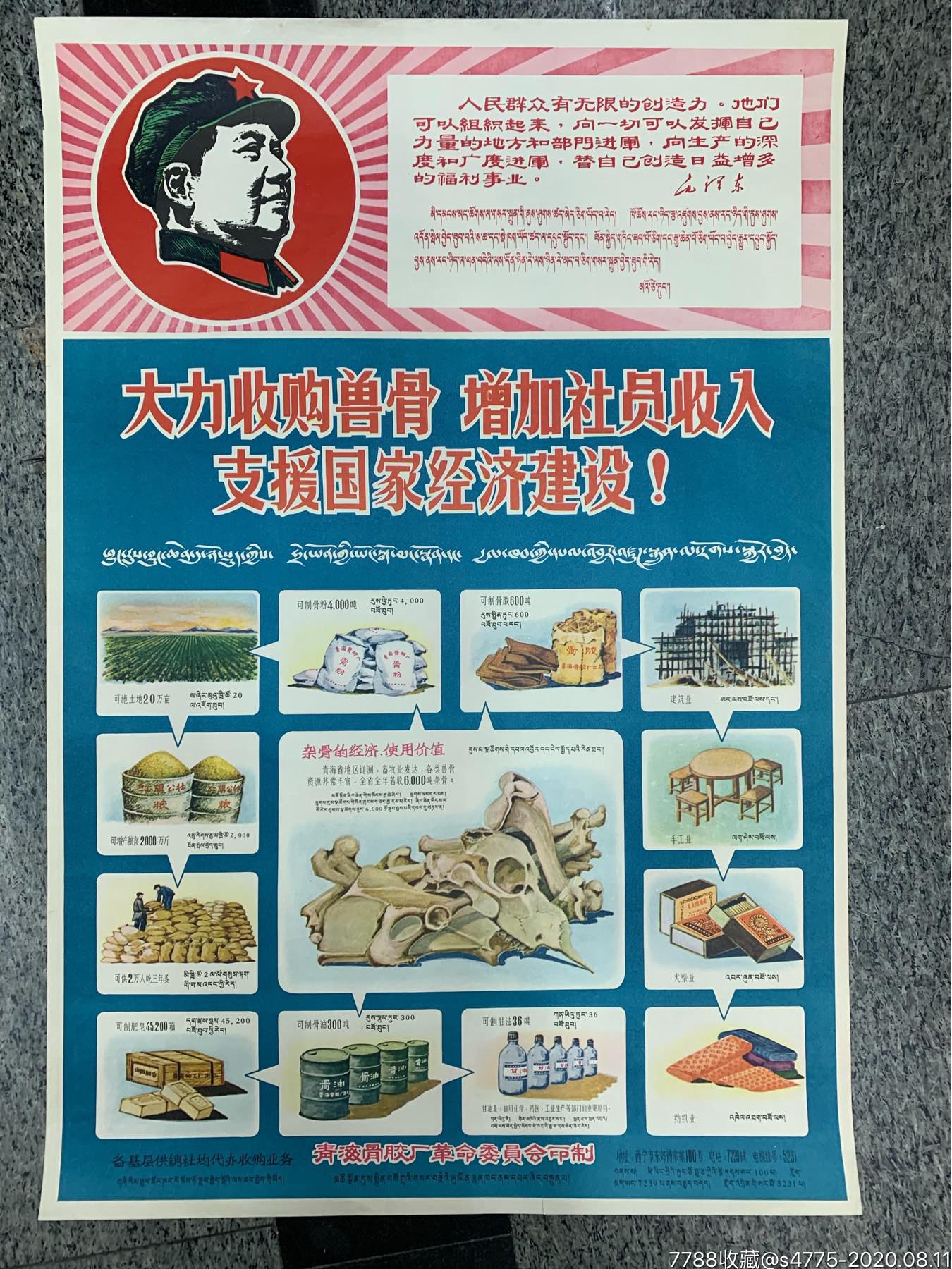 大力收购兽骨增加社员收入