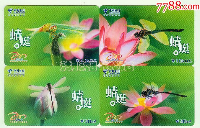 荷花与蜻蜓4全广西gxtnn200734