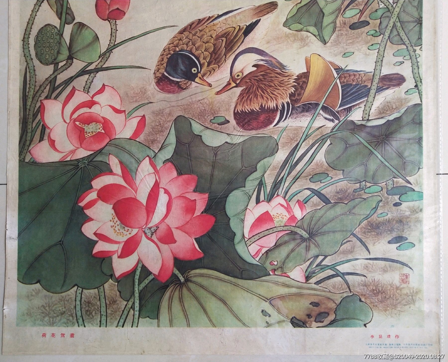 首页 零售 年画/宣传画 少见63年《荷花鸳鸯!天津美术出版社!