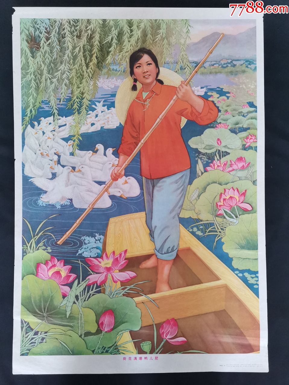 荷花满塘鸭儿肥_年画/宣传画_第1张_7788小人书