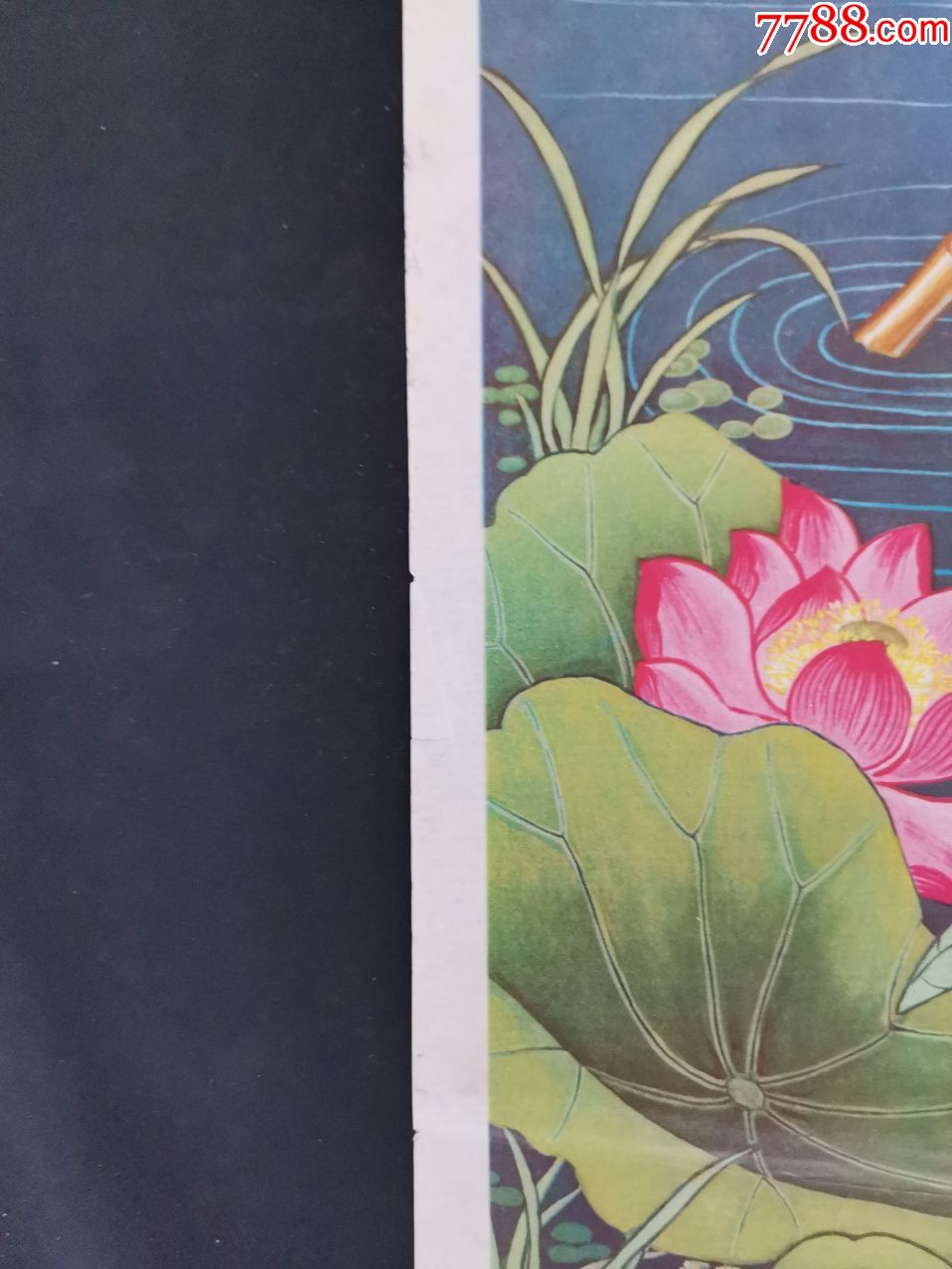 荷花满塘鸭儿肥_年画/宣传画_第9张_7788小人书