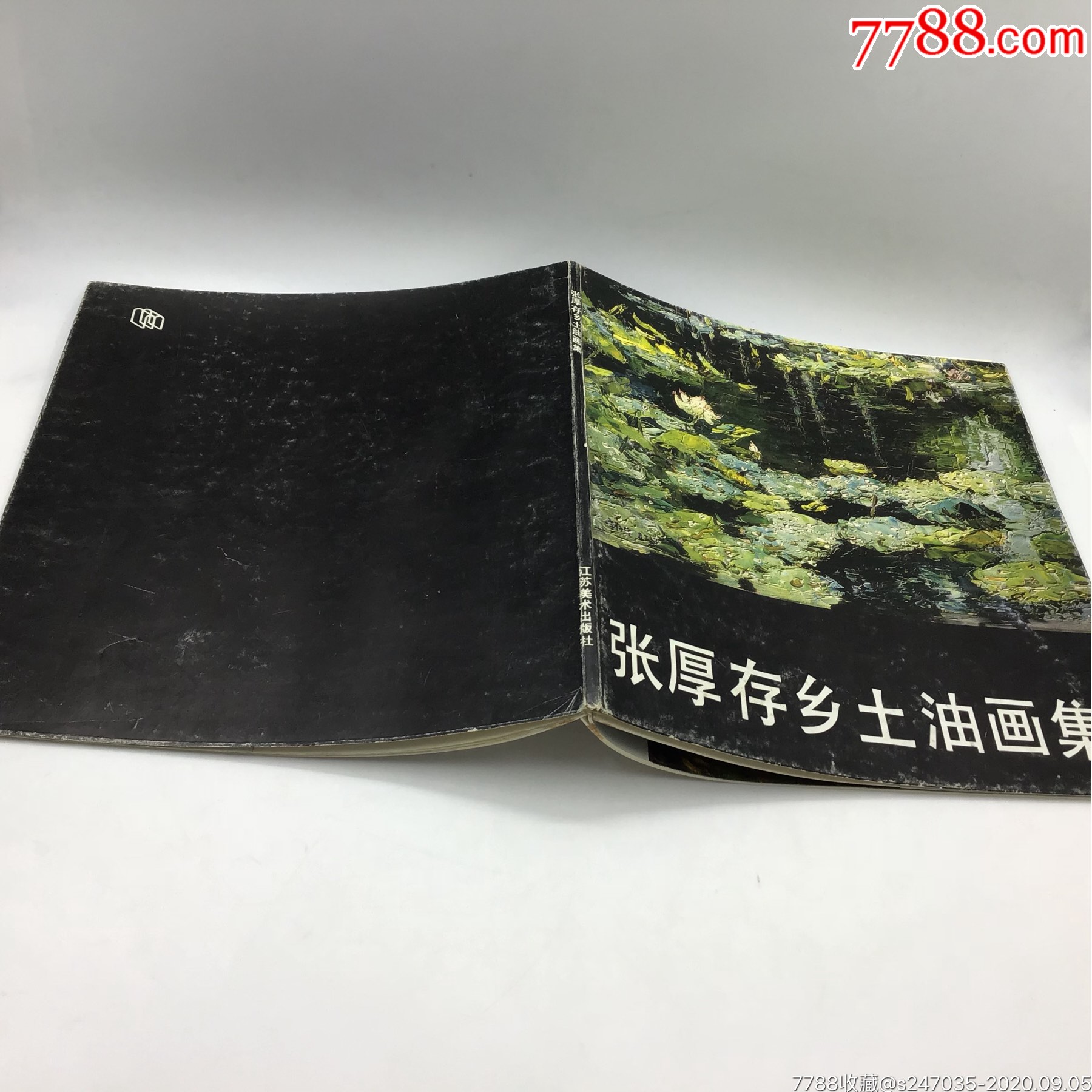 张厚存乡土油画集(作者签名本-价格:26元-se75273