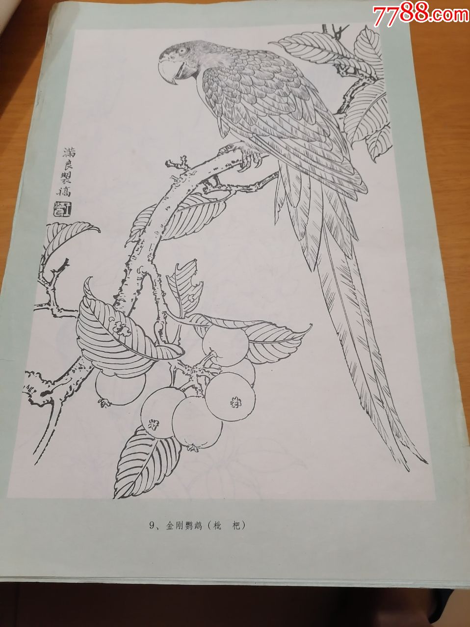 线描花鸟散页共16张看图