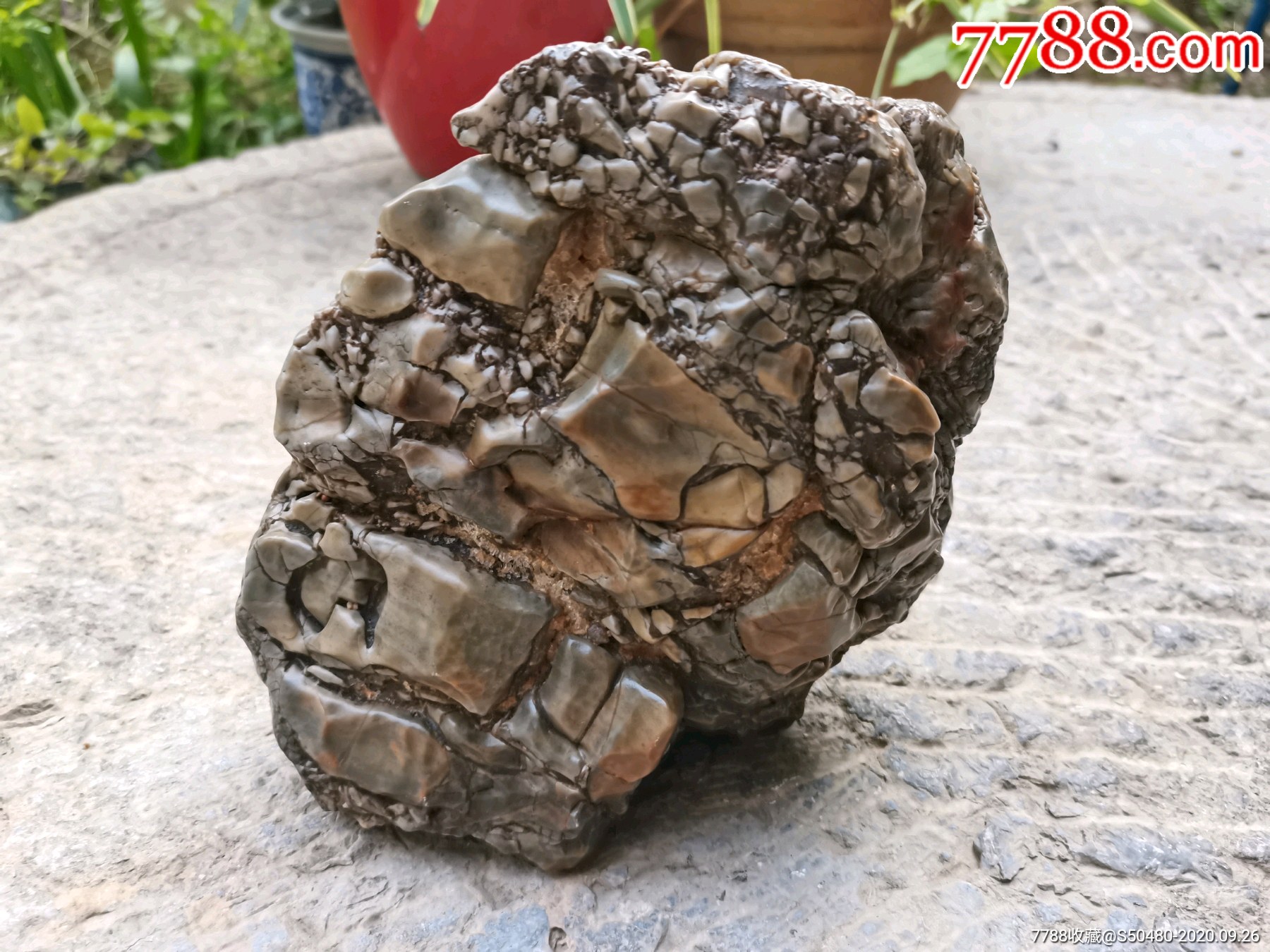 新疆内蒙戈壁石天然观赏石沙漠漆风凌石风励石老皮开片马牙造型石