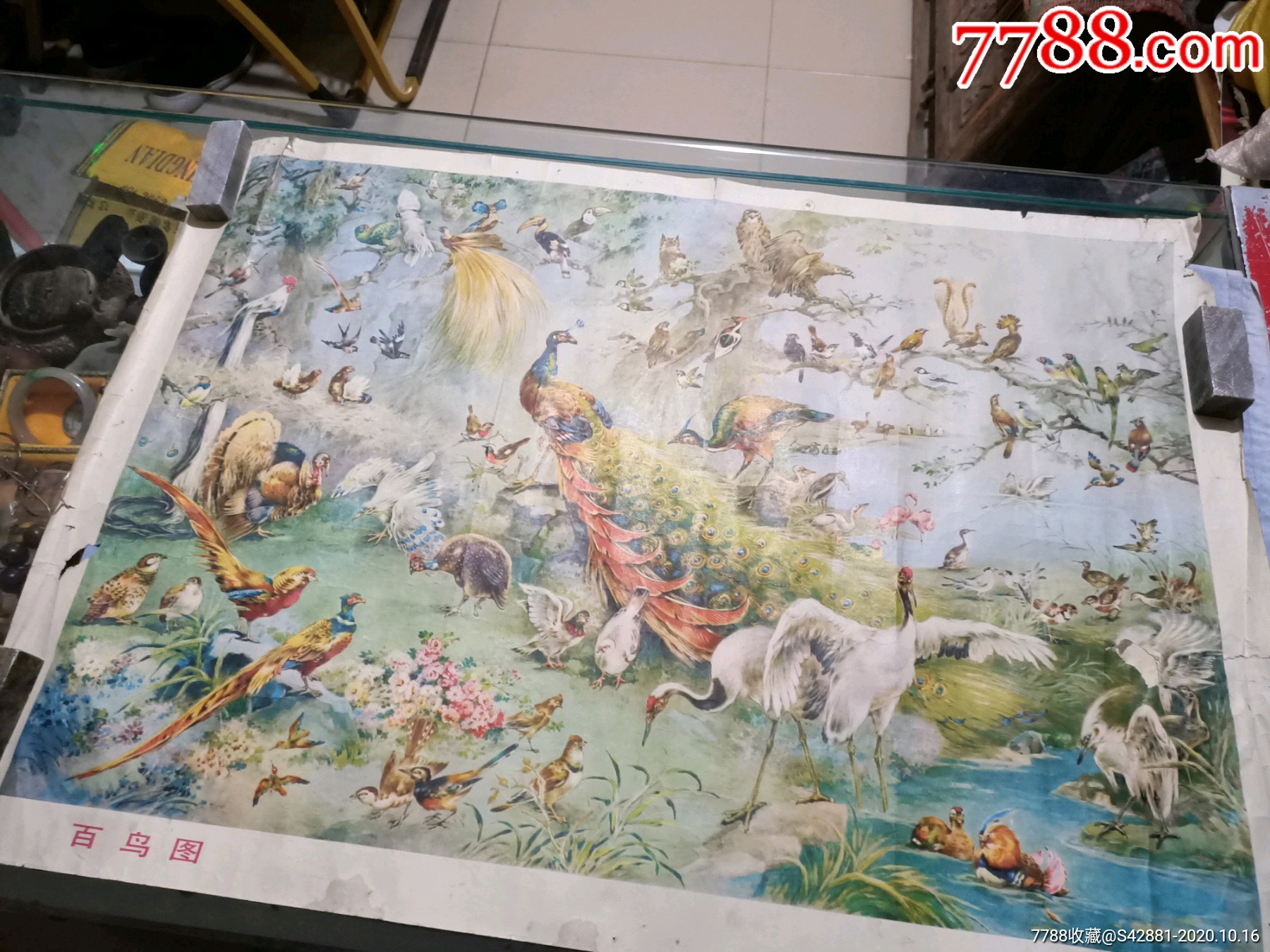 何逸梅作百鸟图年画7553
