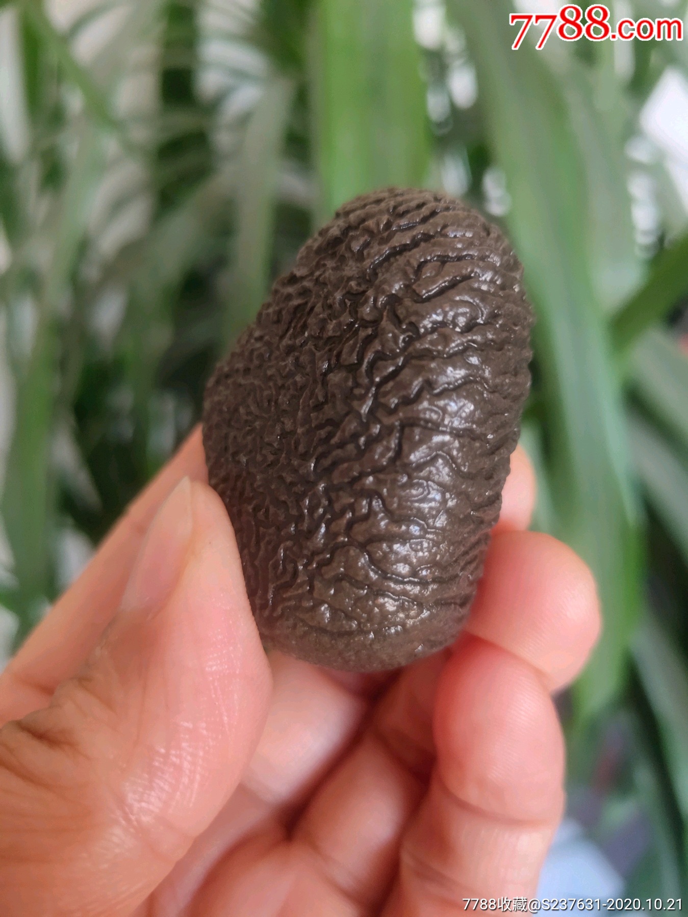 新疆泥石-风砺石/戈壁石-7788工艺品
