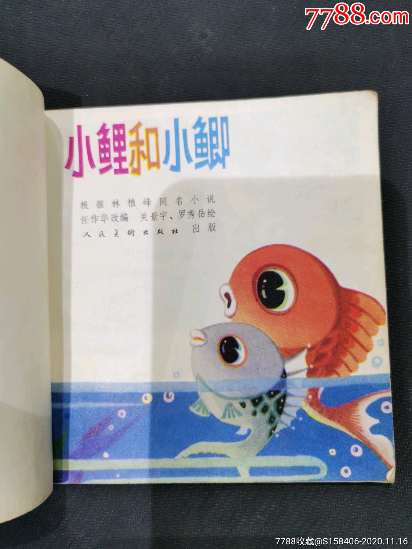 小鲤和小鲫