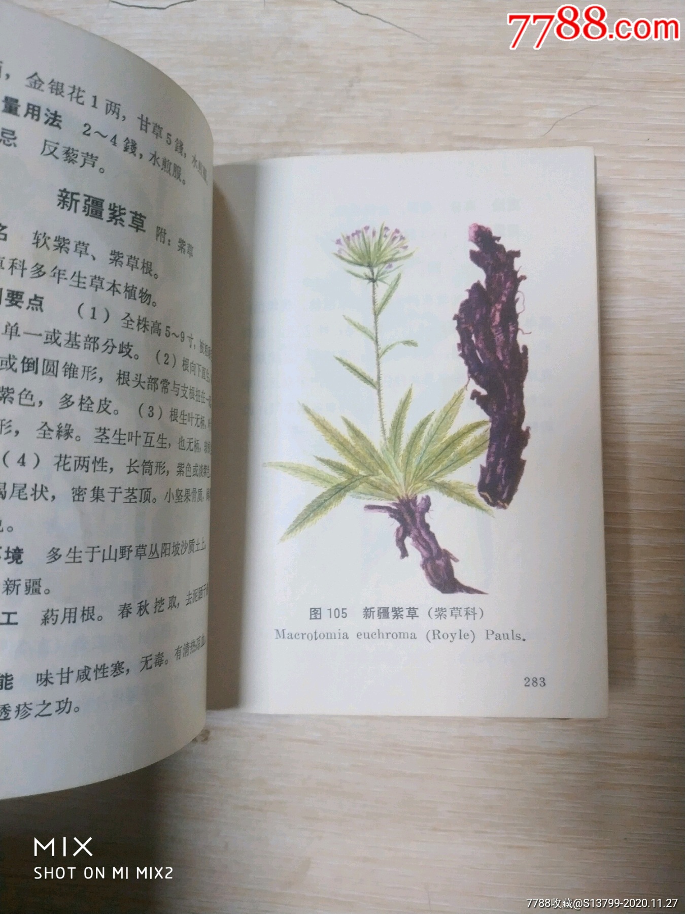 文革北方常用中草药手册彩色版
