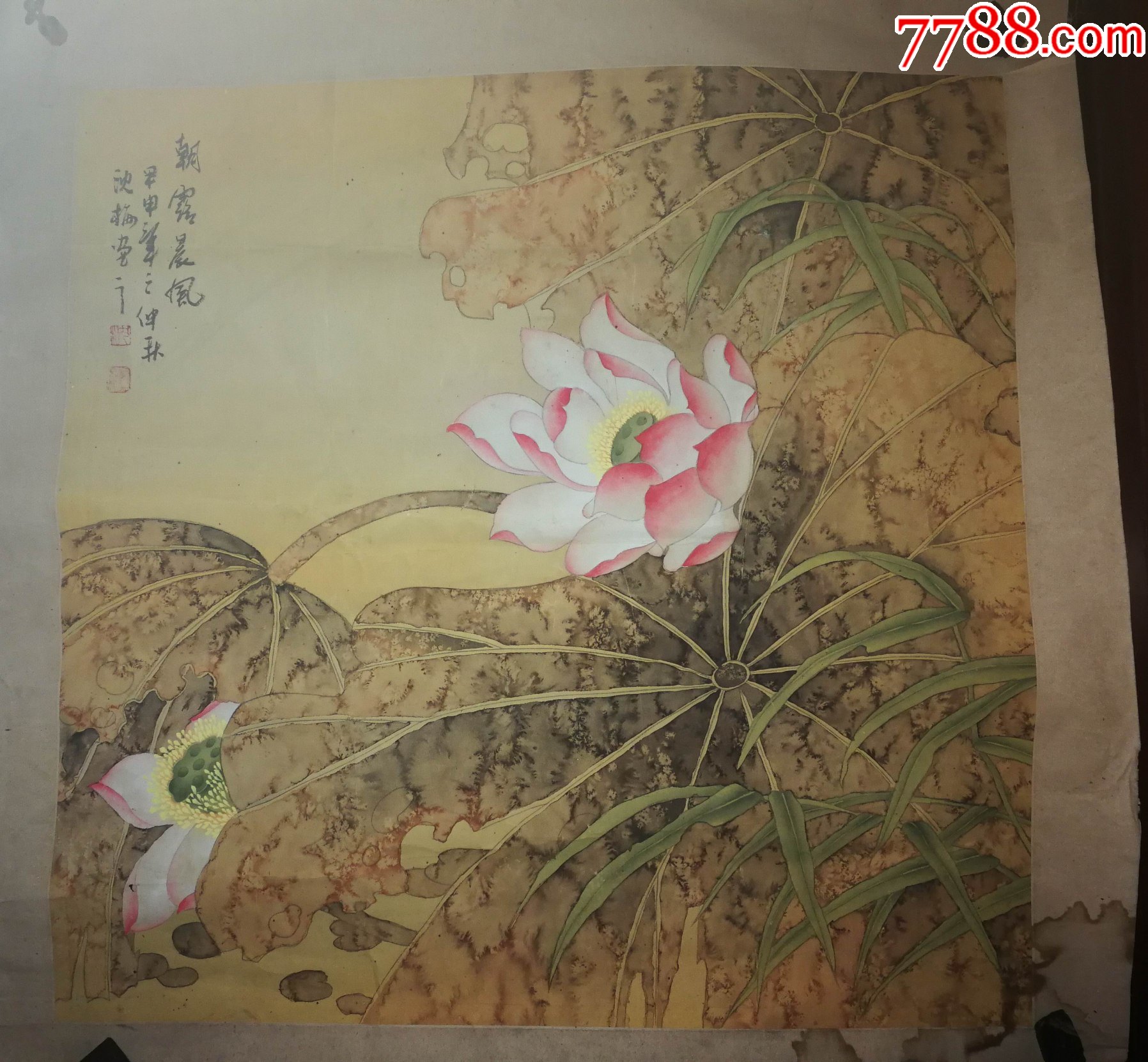 画家沈梅手绘朝露晨风(已裱片)右下角有水印尺寸65公分×64公分