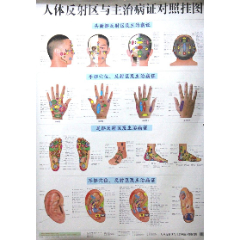 拔罐美容美体全真图解姜再增吴影东董宝强主编生物·医药出版社