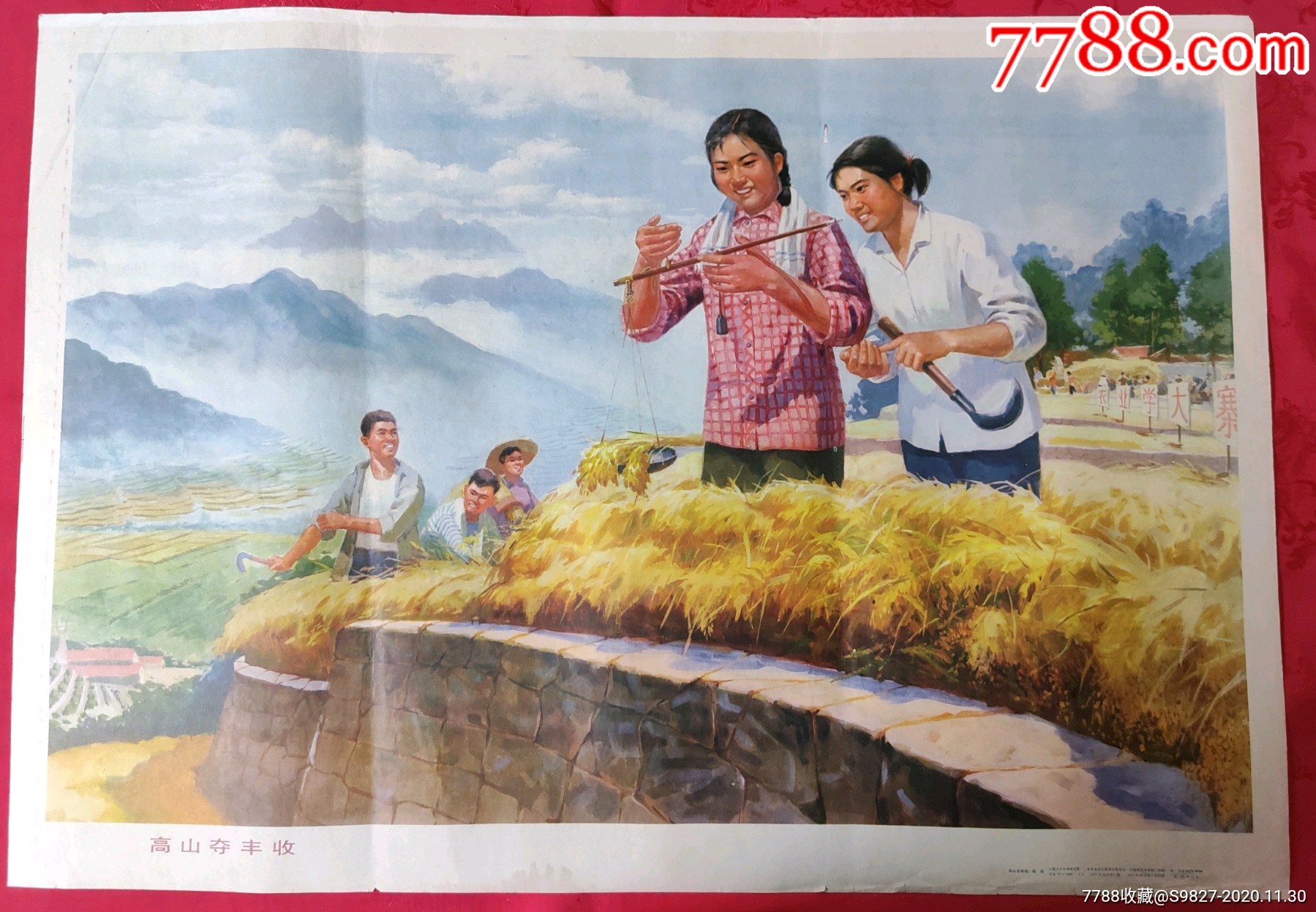 女知青高山夺丰收-年画/宣传画-7788收藏