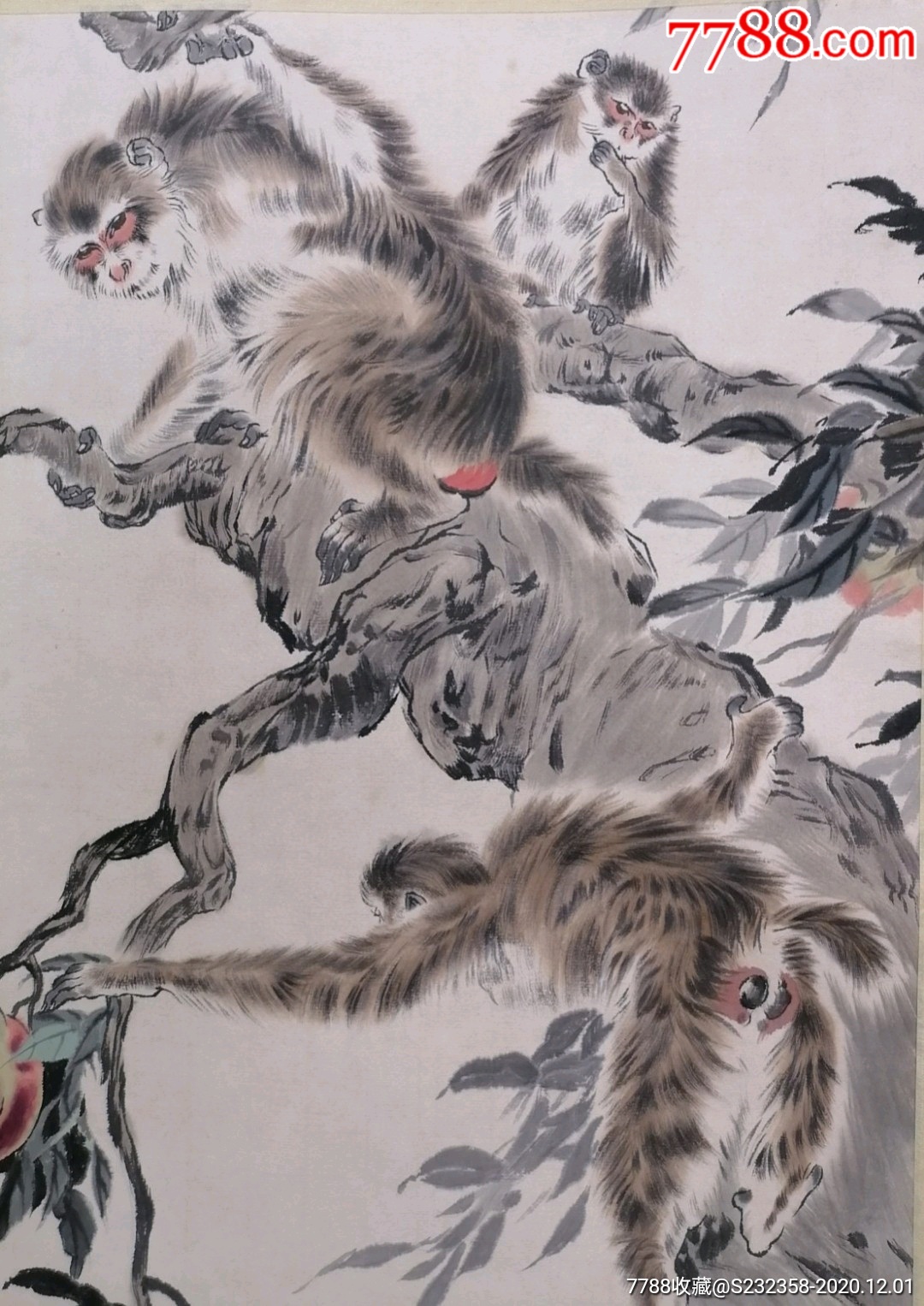 刘继卣精品猴45x68cm立轴_花鸟国画原作_作品图片_收藏价格_7788纸艺