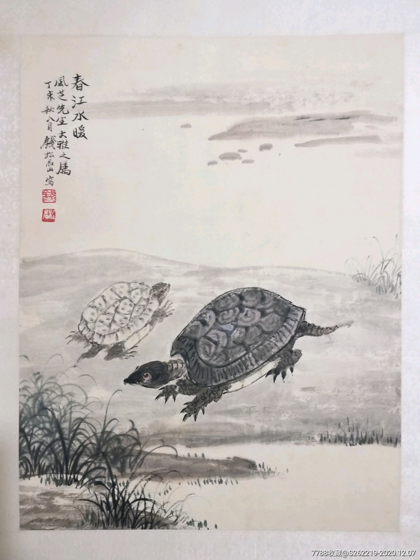 龟寿延年图(保真)_花鸟国画原作_松筠斋字画【7788网