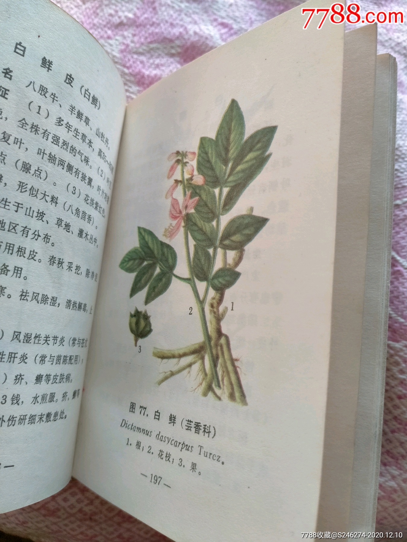 东北常用中草药手册