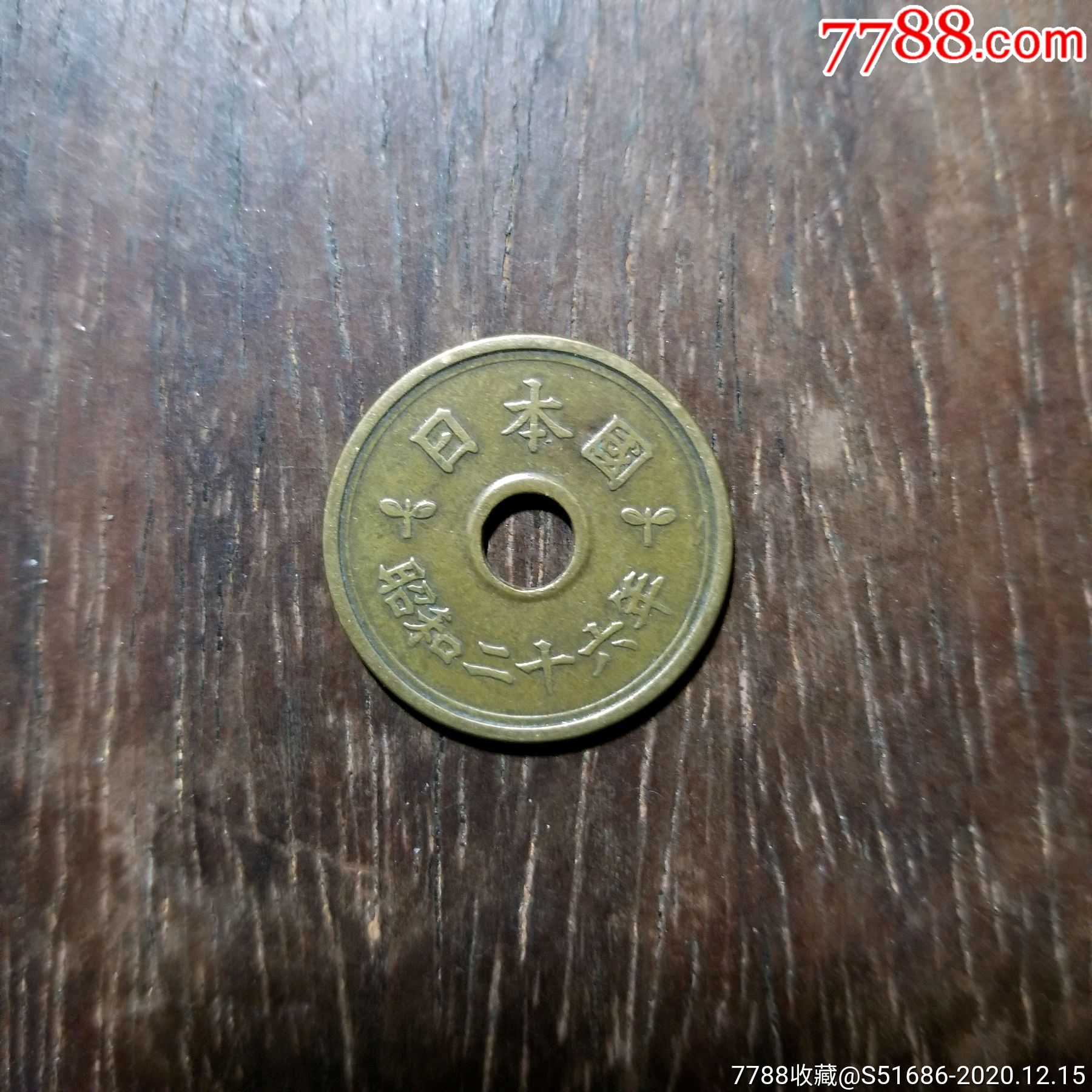 5円黄铜币-日本昭和26年(1951)