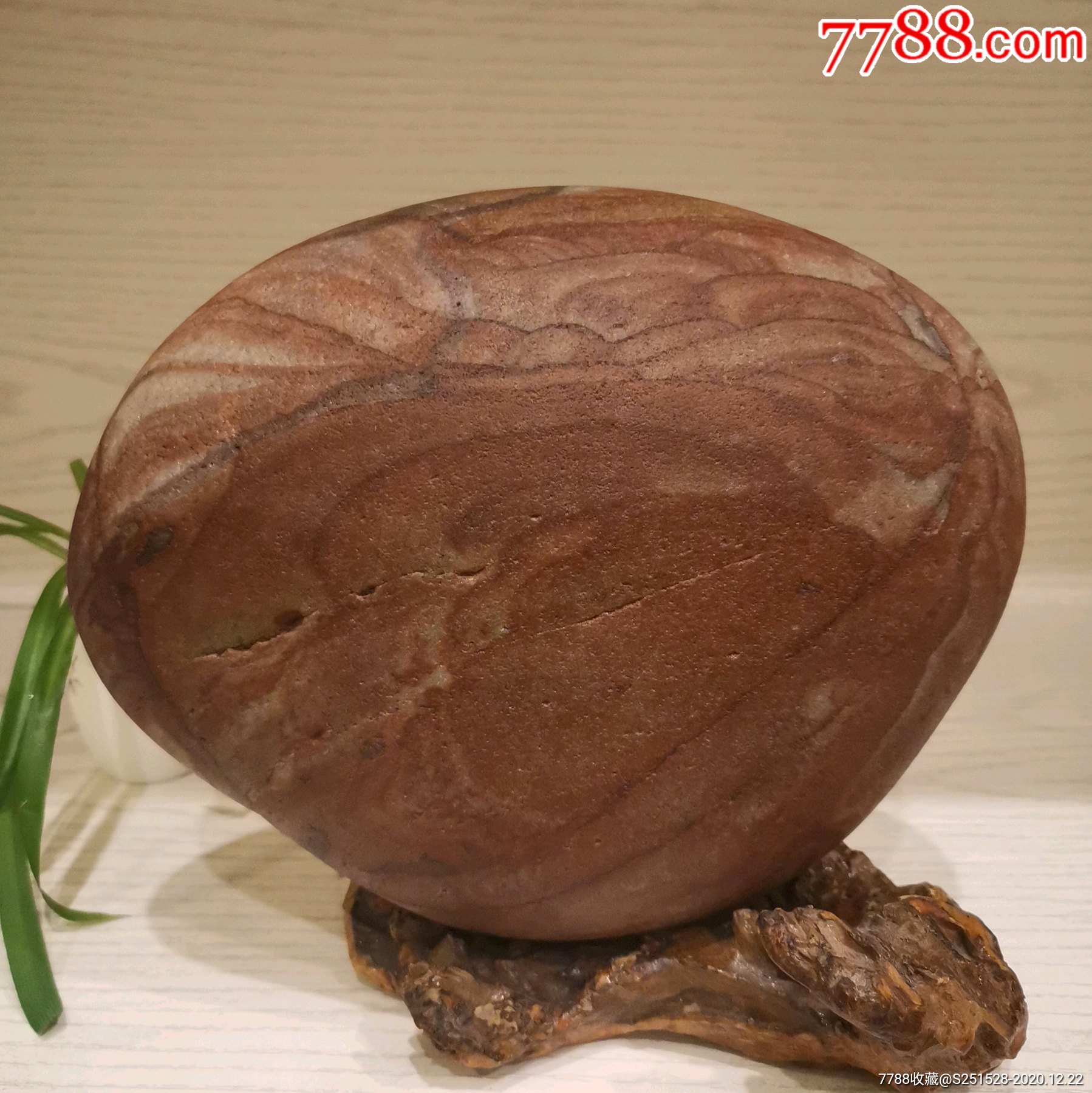 长江芙蓉石