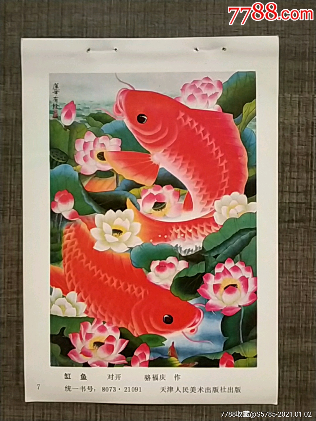 缸鱼--骆福庆作_年画缩样散页_榕城纸品收藏【7788