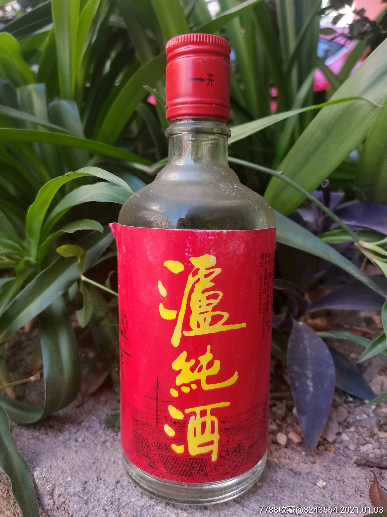 泸纯酒
