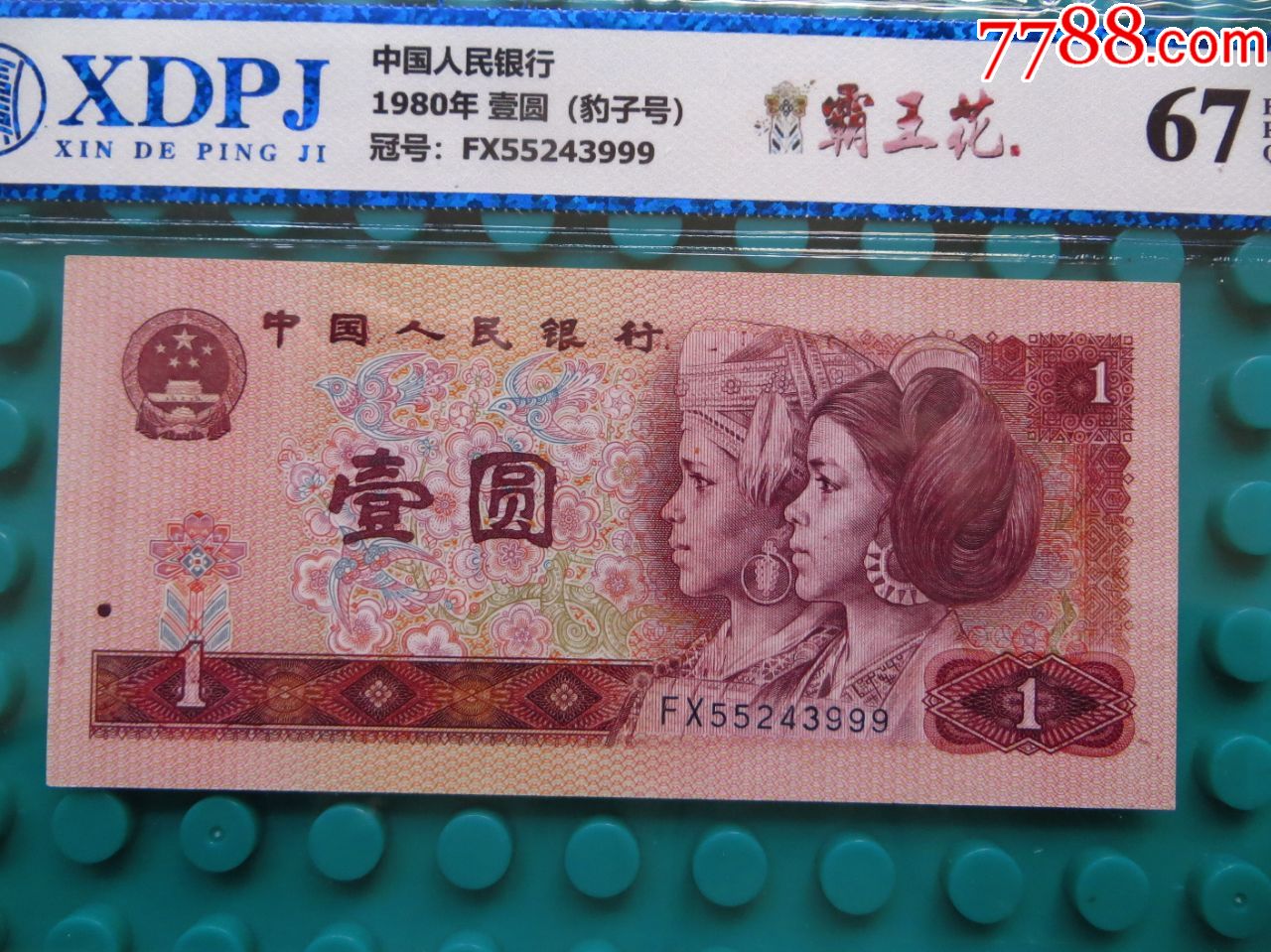 801fx55243999霸王花豹子号一张