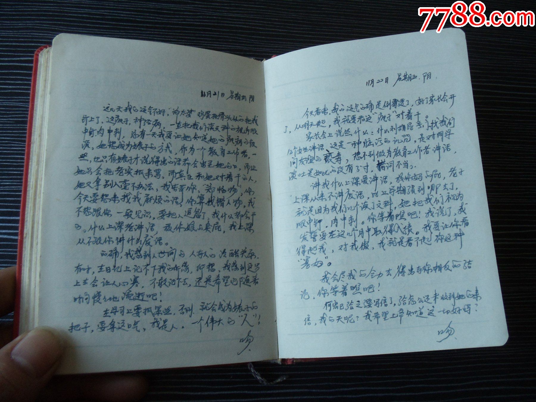 红岩日记本-一个女高中生每天的日记记载