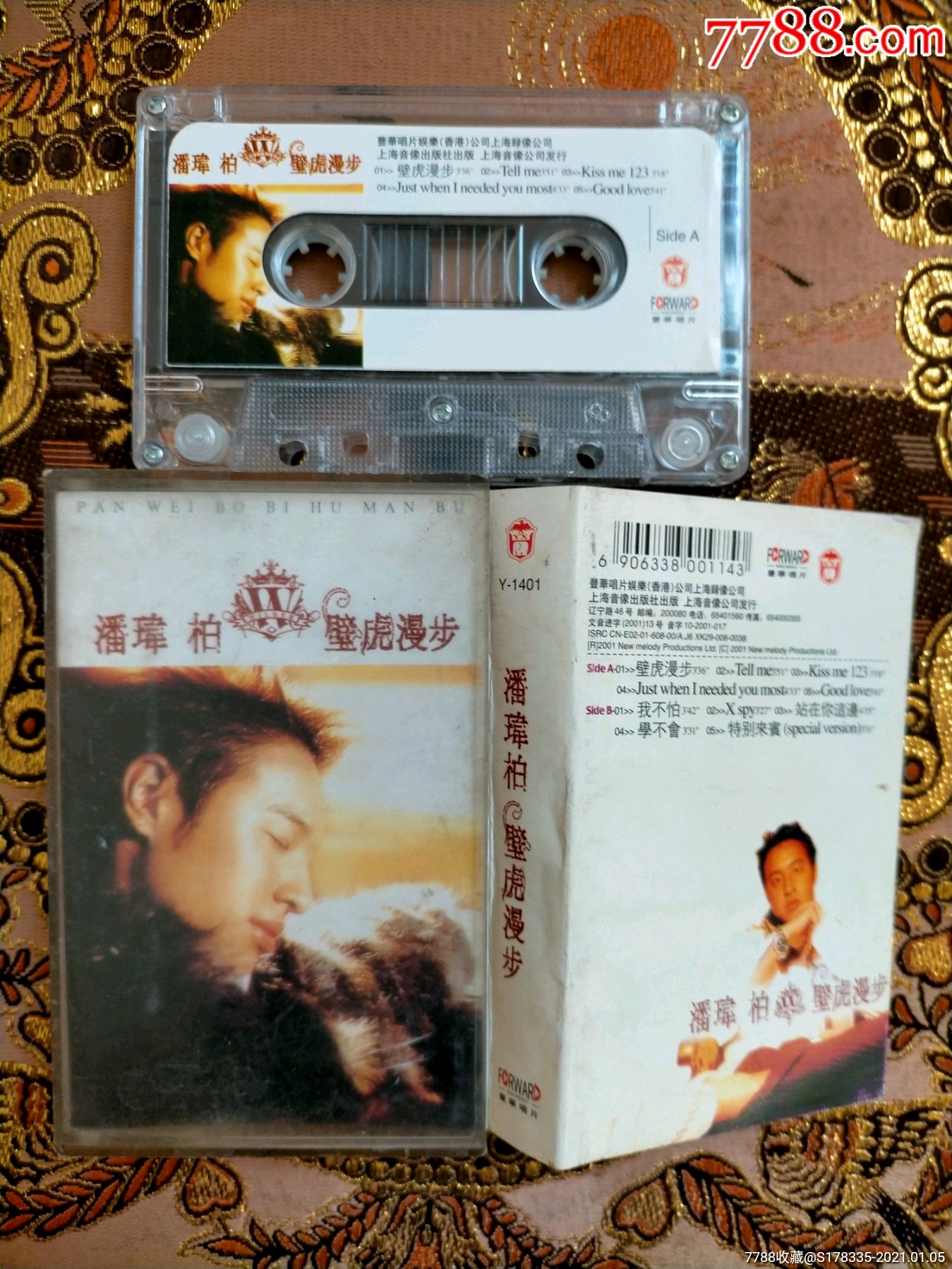 潘玮柏壁虎漫步