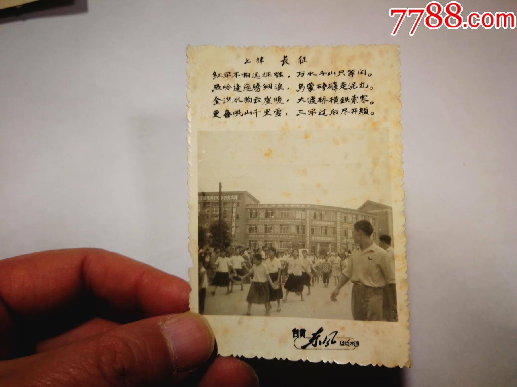 文革诗词照片_老照片_图片收藏_回收价格_7788老照片