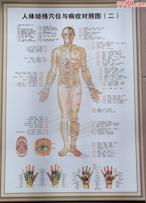 人体经络穴位与病症对照图一二三2开大经络穴位挂图三张全