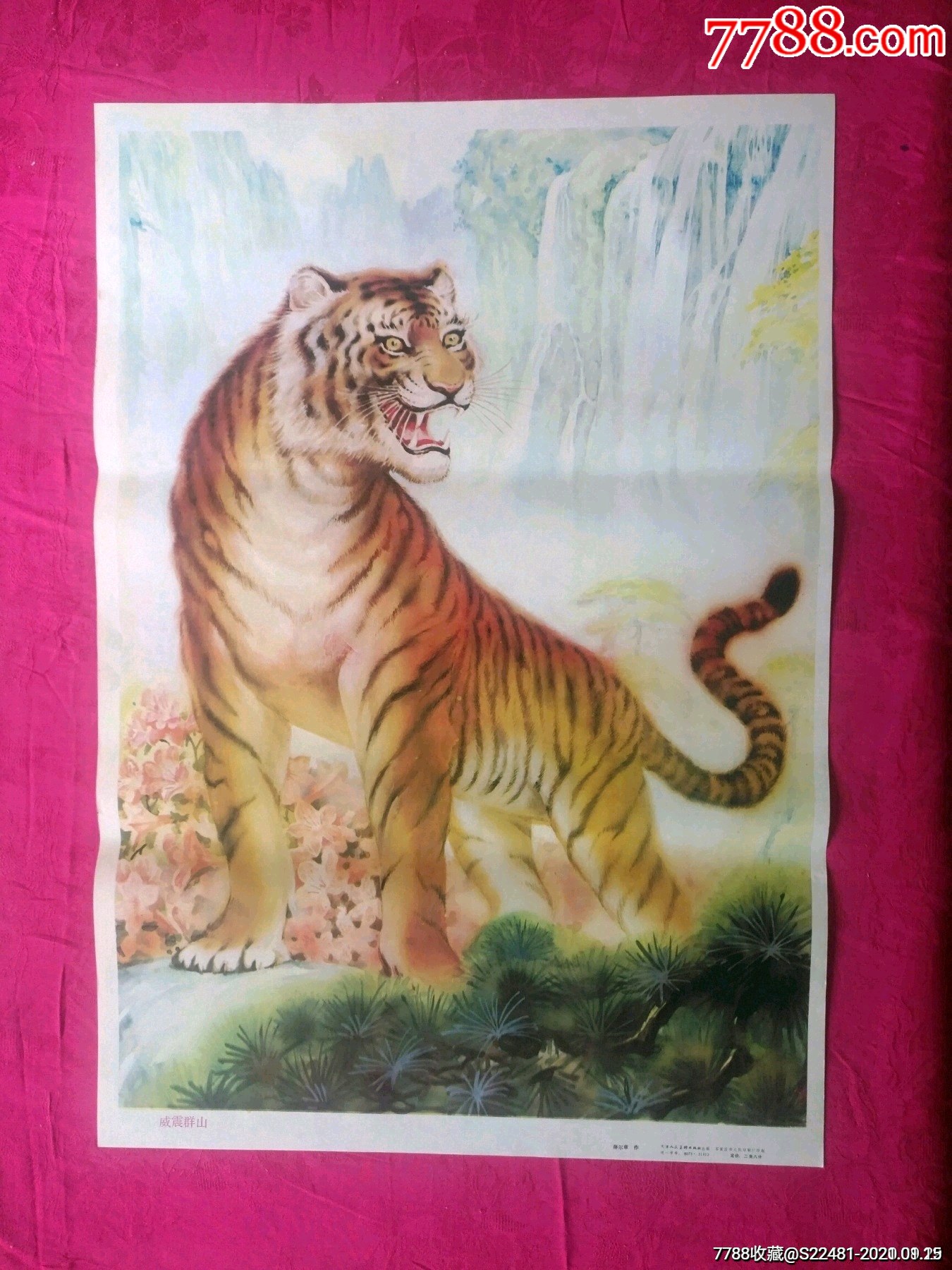 老虎-年画/宣传画-7788宣传画收藏