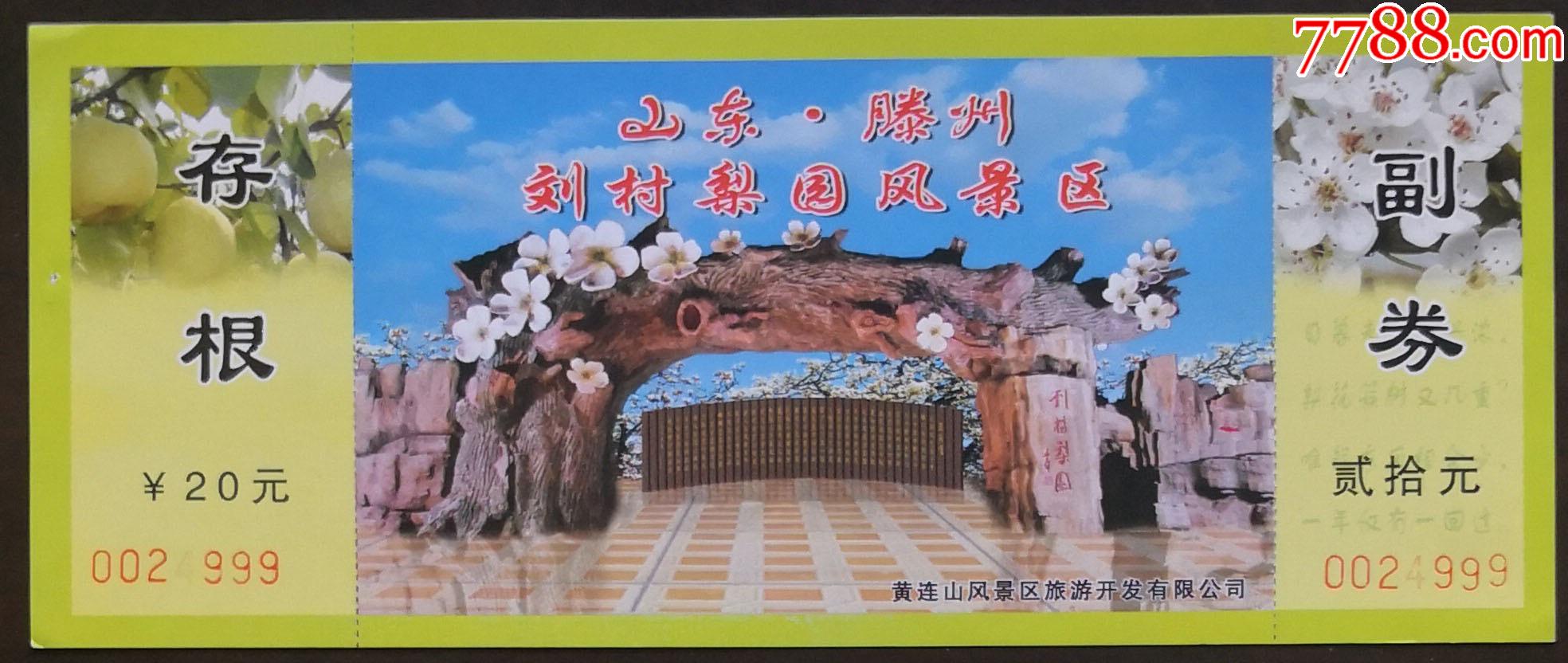 滕州刘村梨园风景区梨梨花