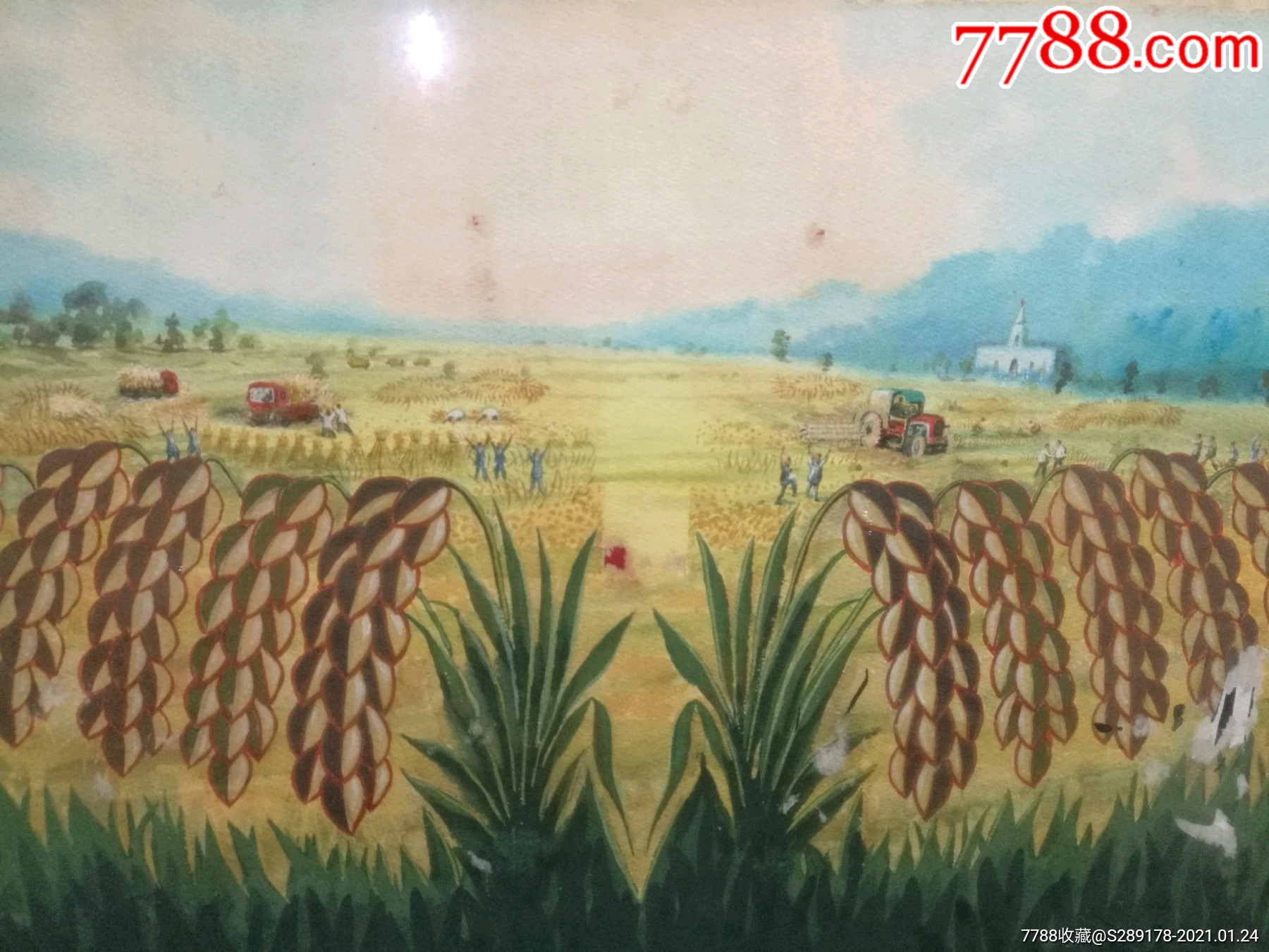 50年代大丰收水粉画,品相如图._油画原画_第2张_7788字画网