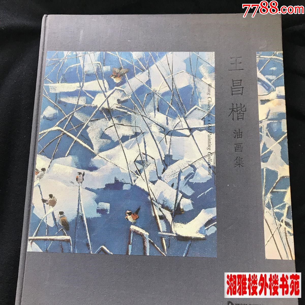 王昌楷油画作品集画集画册画展