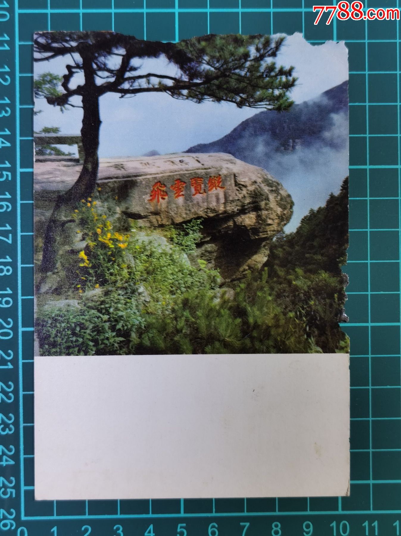 宣传画石松庐山