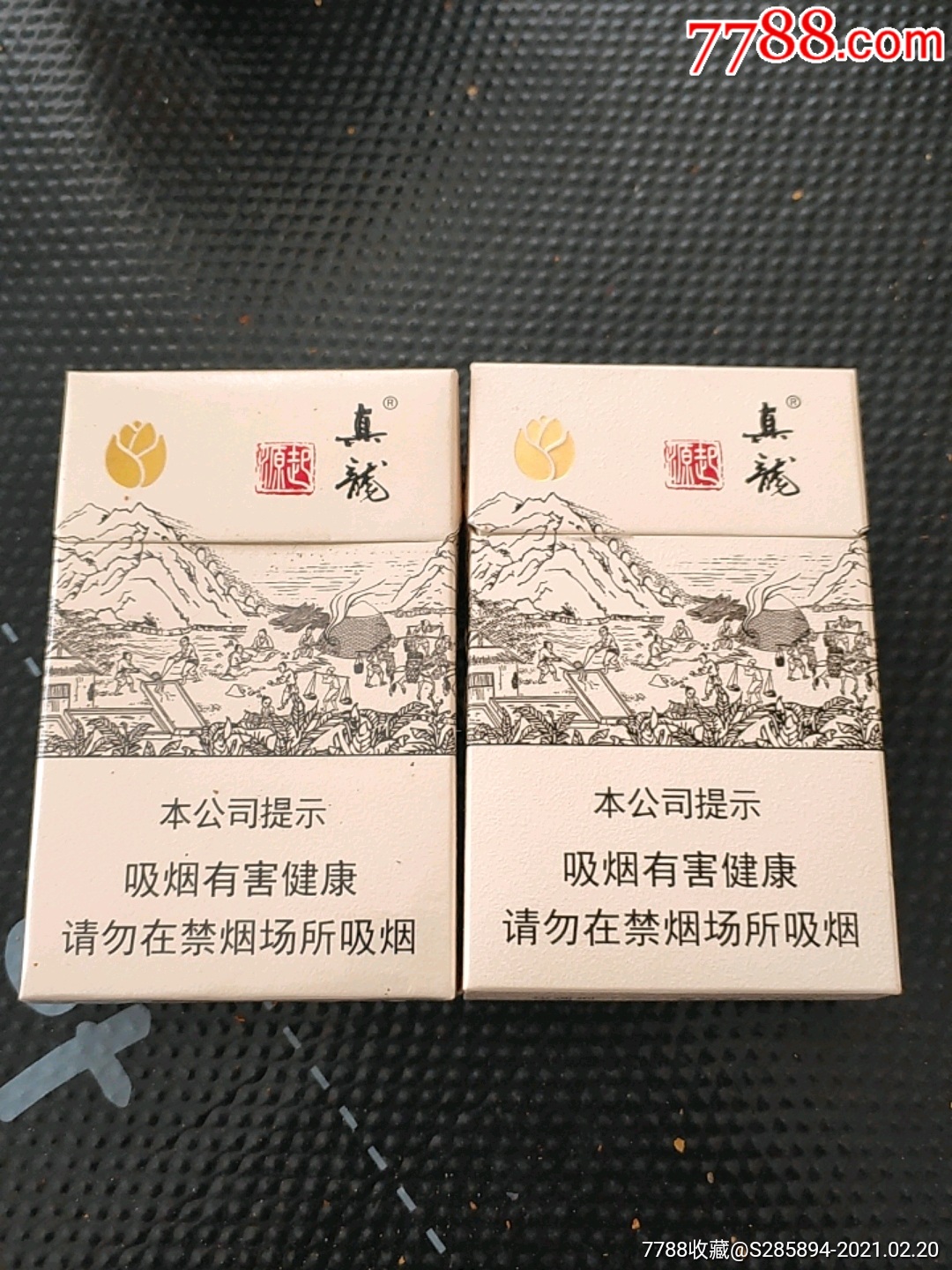 真龙起源一对