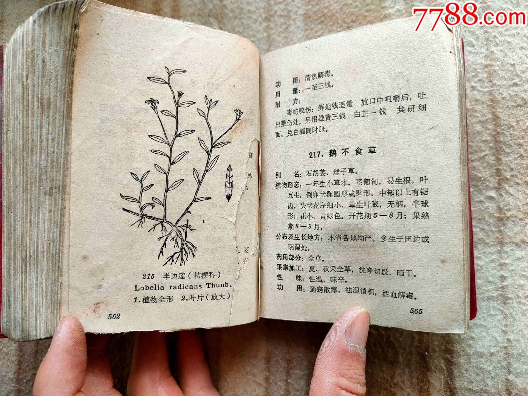 a13261,河南中草药手册,品相差里面残缺几页,后面验方不缺页