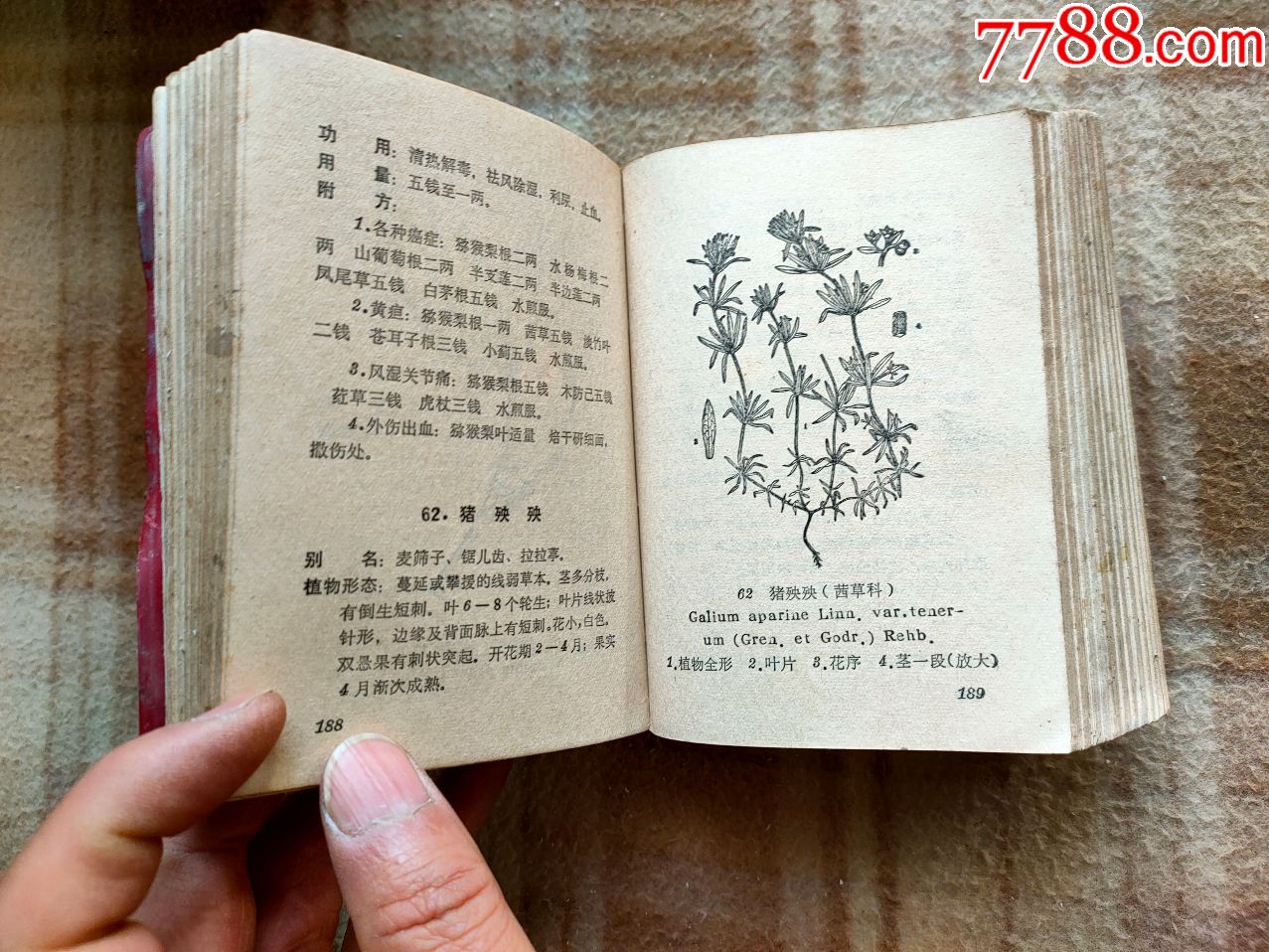 a13262,河南中草药手册,品相有点变形,不缺页