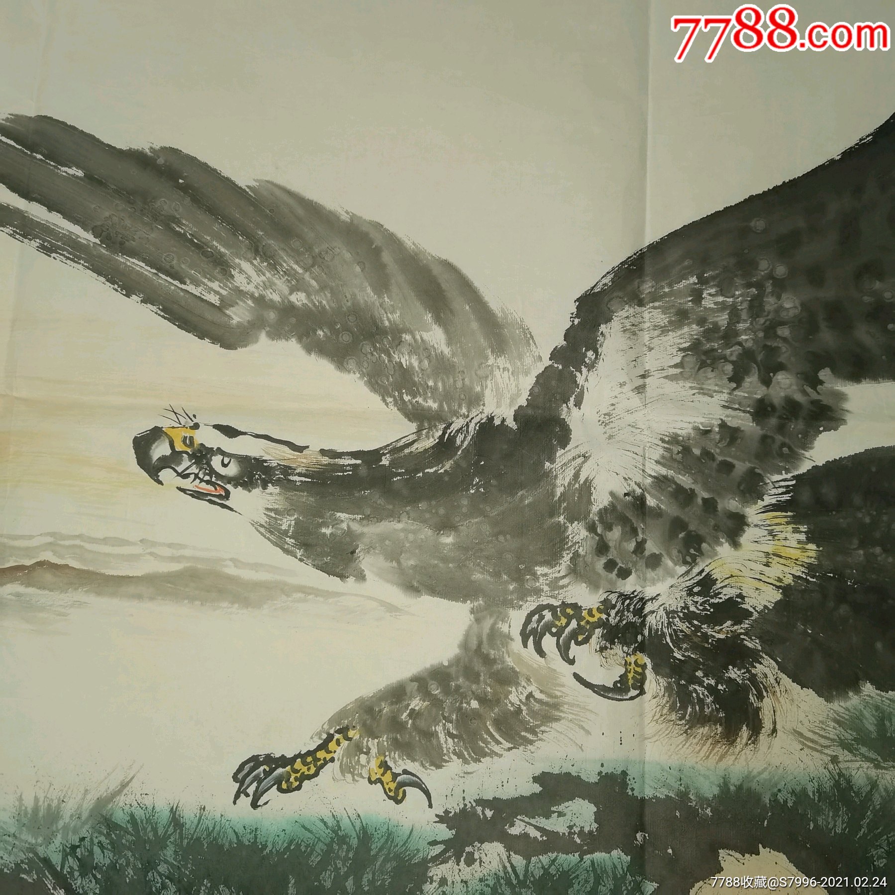 无款三尺飞鹰图_花鸟国画原作【邮来邮往】_第2张_7788字画网