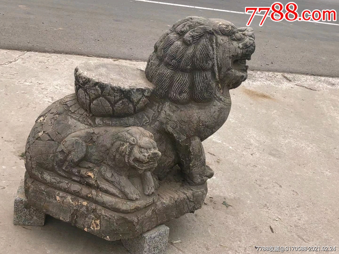 清早时期,青石子母石兽一只,尺寸如图,保浆厚重,收藏摆放佳选