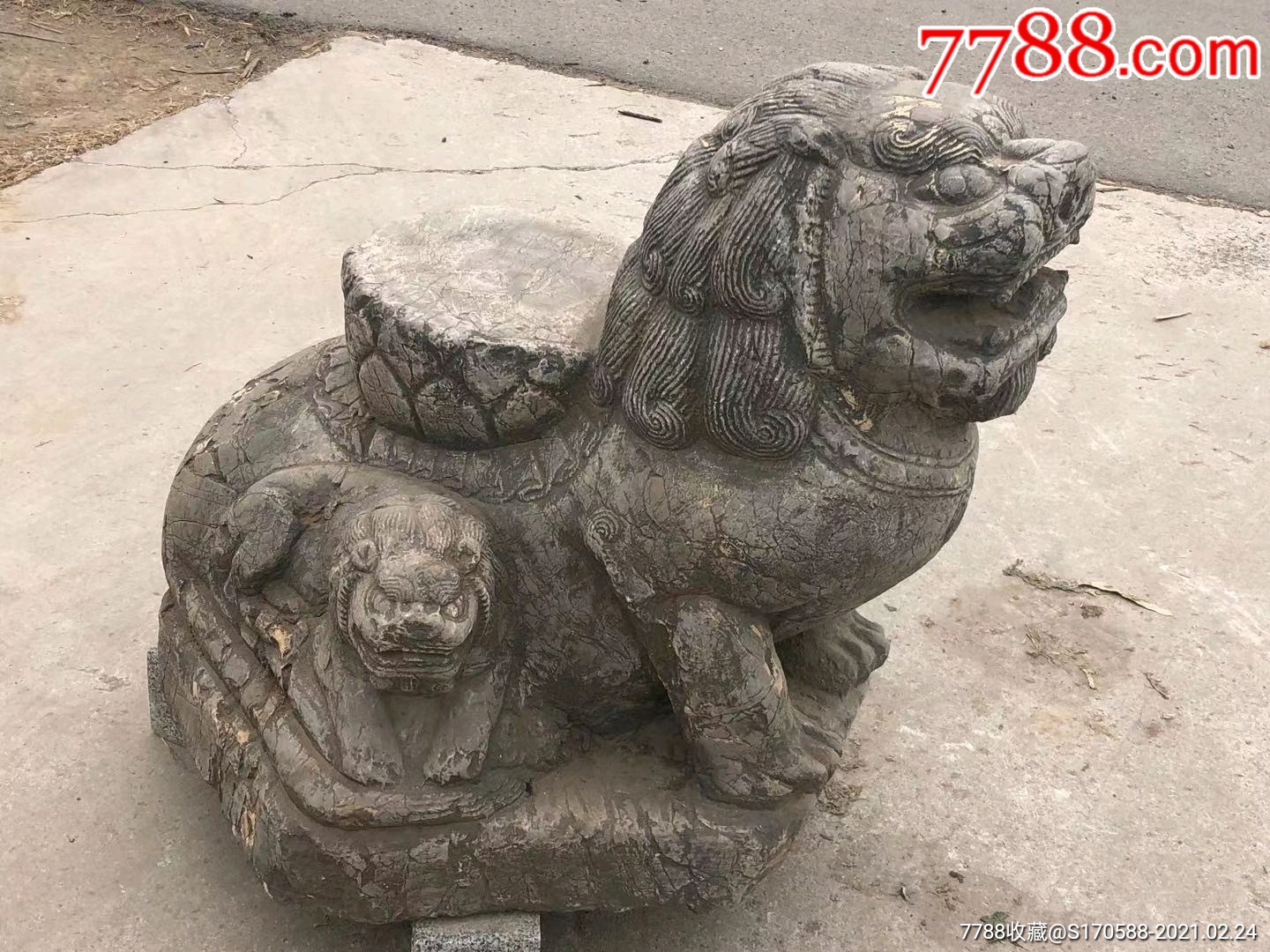 清早时期,青石子母石兽一只,尺寸如图,保浆厚重,收藏摆放佳选
