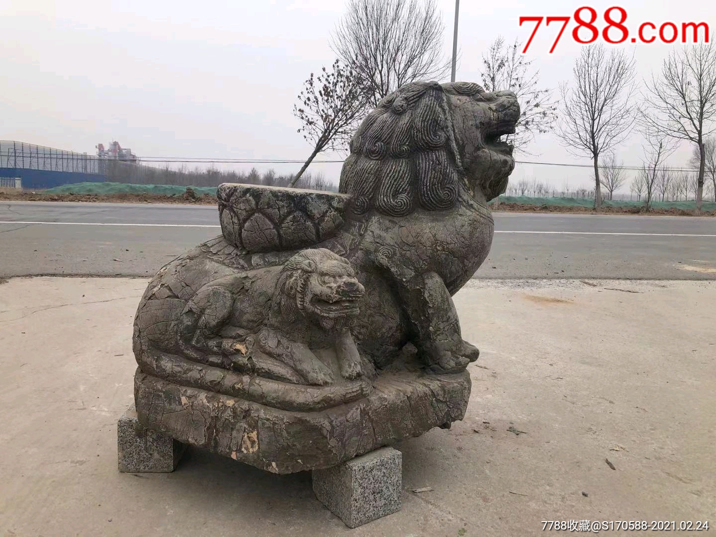 清早时期,青石子母石兽一只,尺寸如图,保浆厚重,收藏摆放佳选