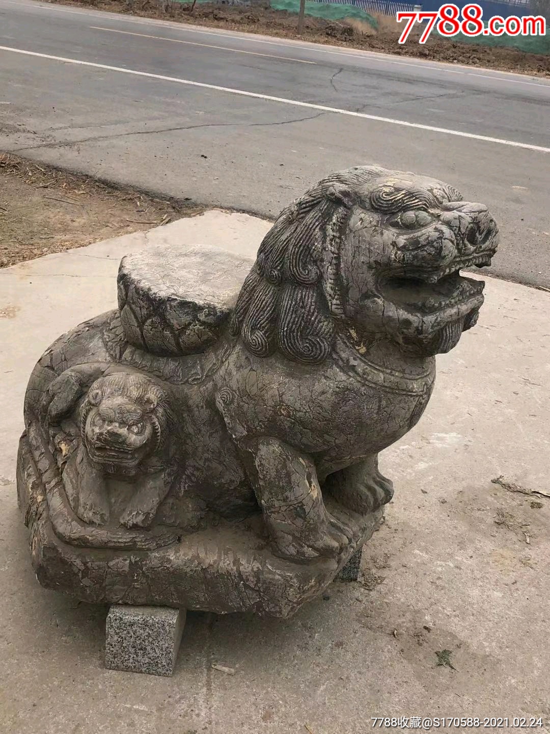 清早时期,青石子母石兽一只,尺寸如图,保浆厚重,收藏摆放佳选