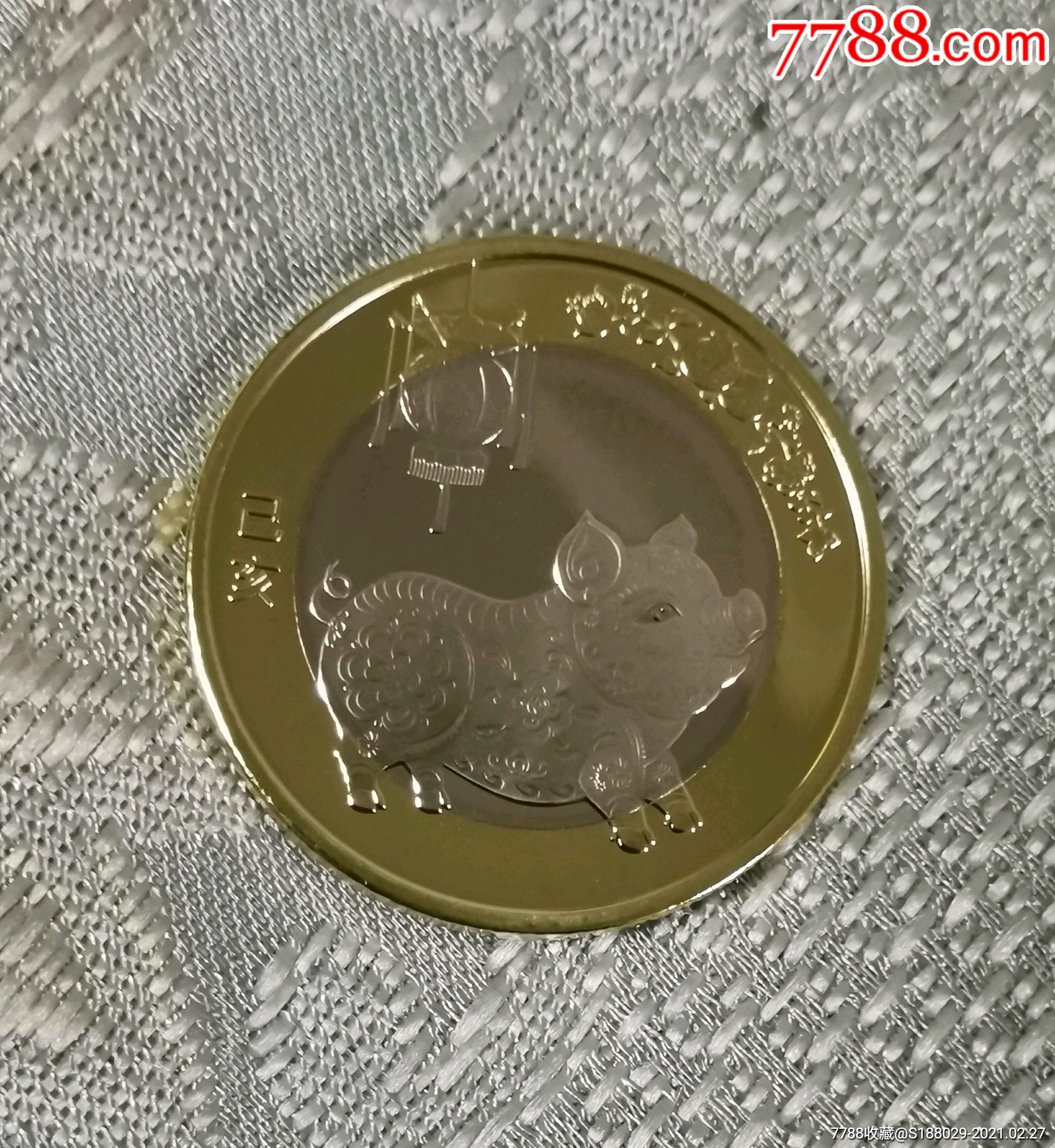2019年猪年纪念币