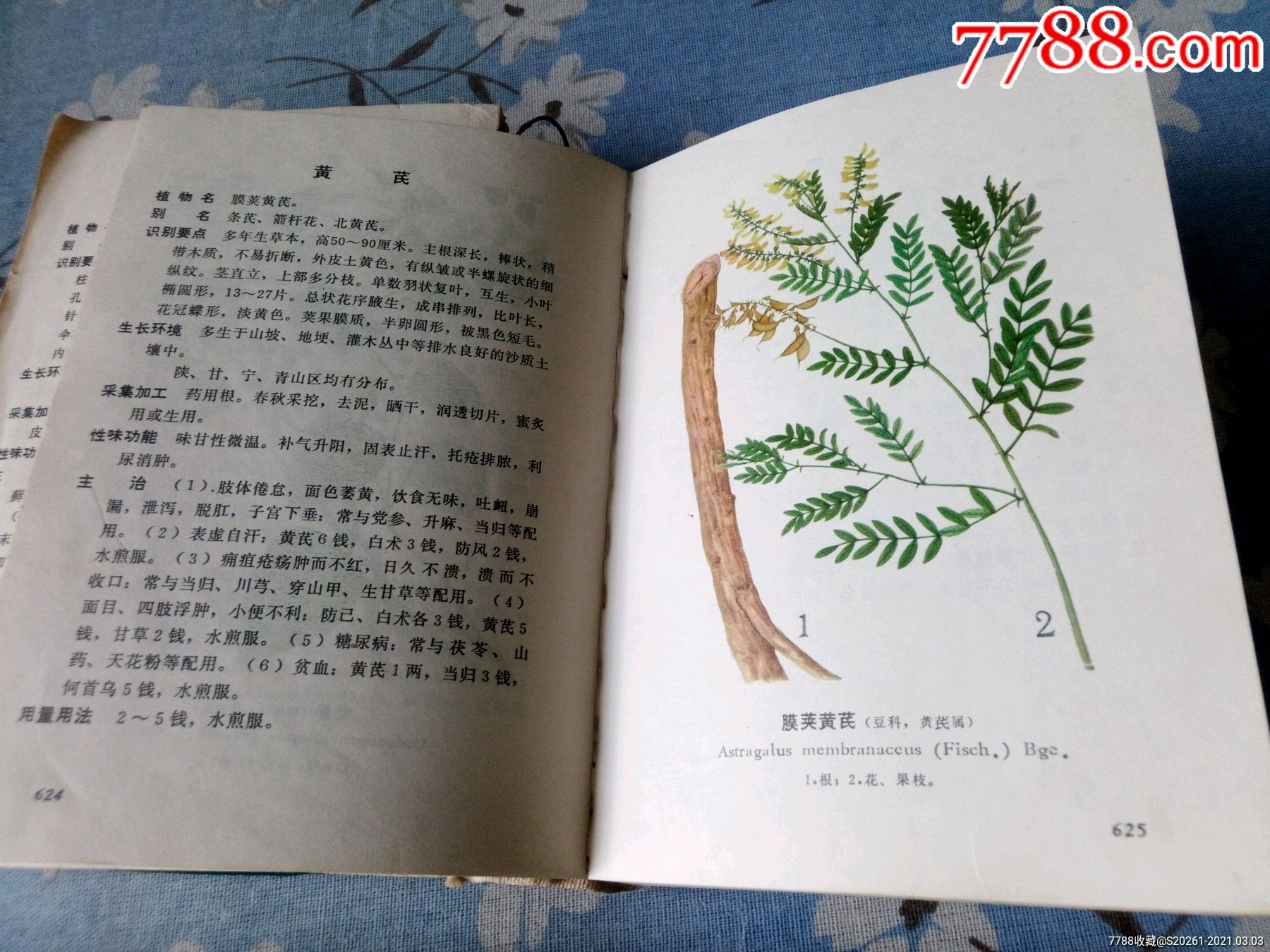 全新一本不缺页71年陕甘宁青中草药选_医书/药书_第6张_7788铜器收藏