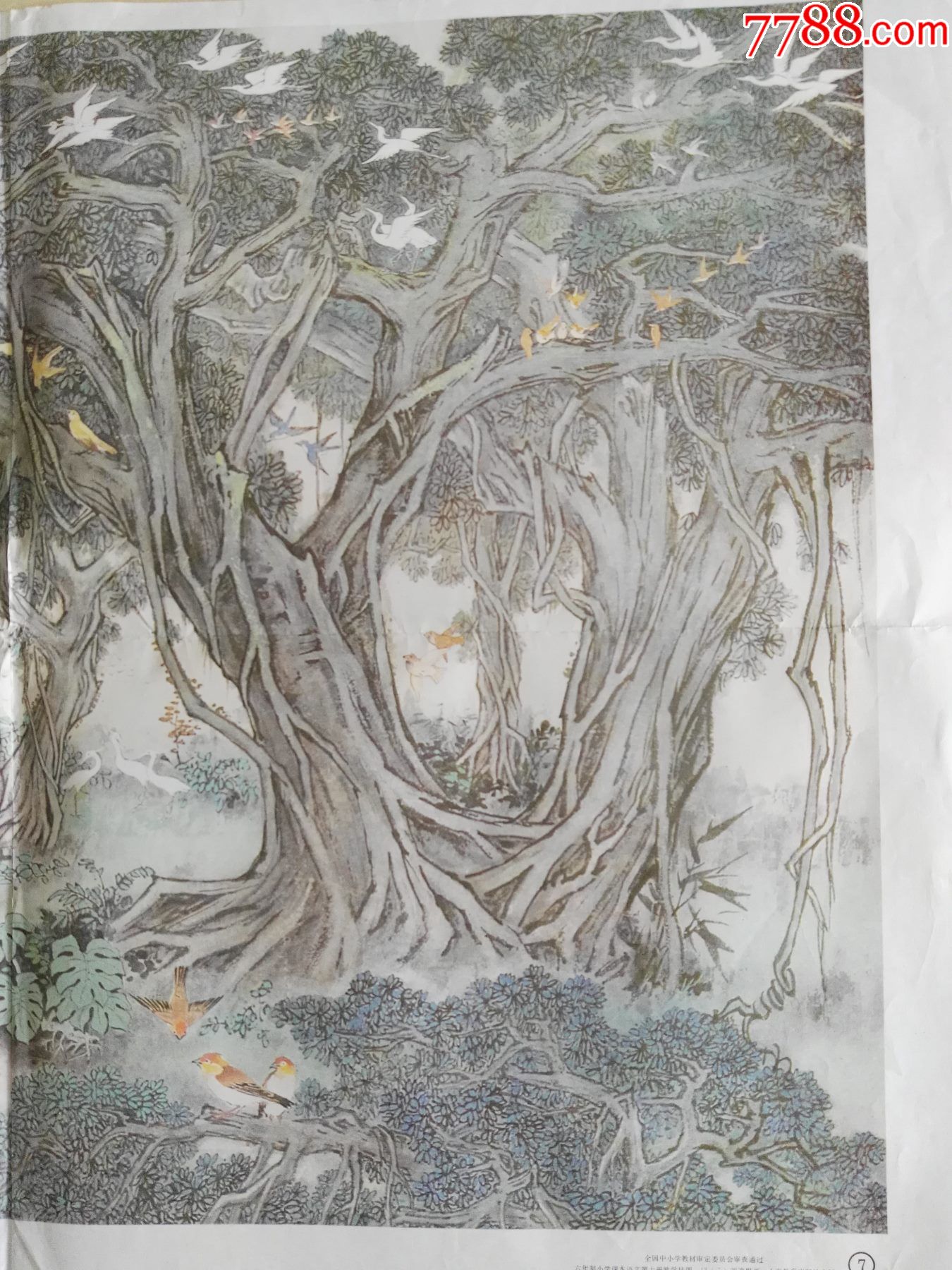 刘逸枫画-鸟的天堂