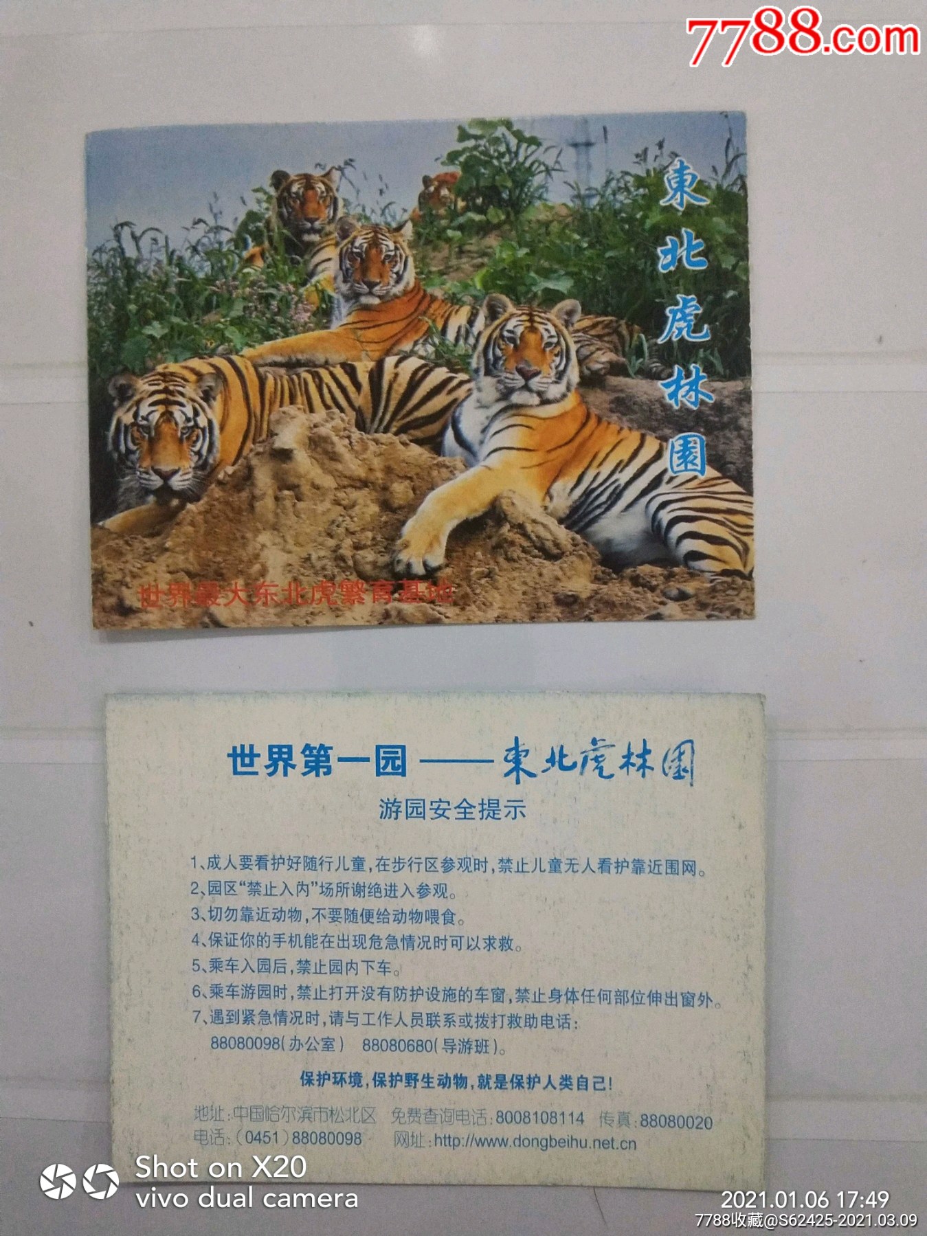 东北虎林园_旅游景点门票_第1张_7788音像