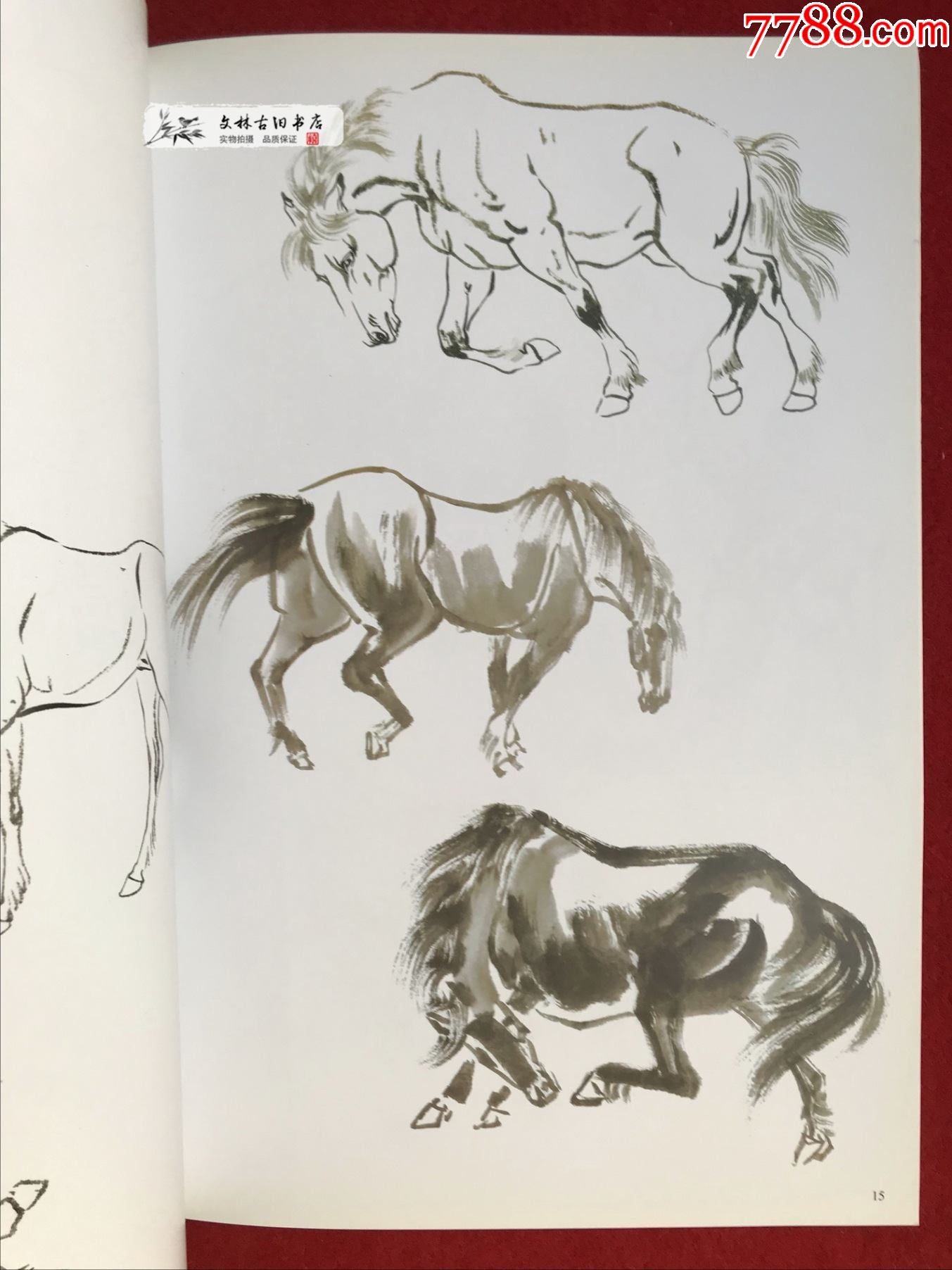 马的画法-中国画名家技法丛书