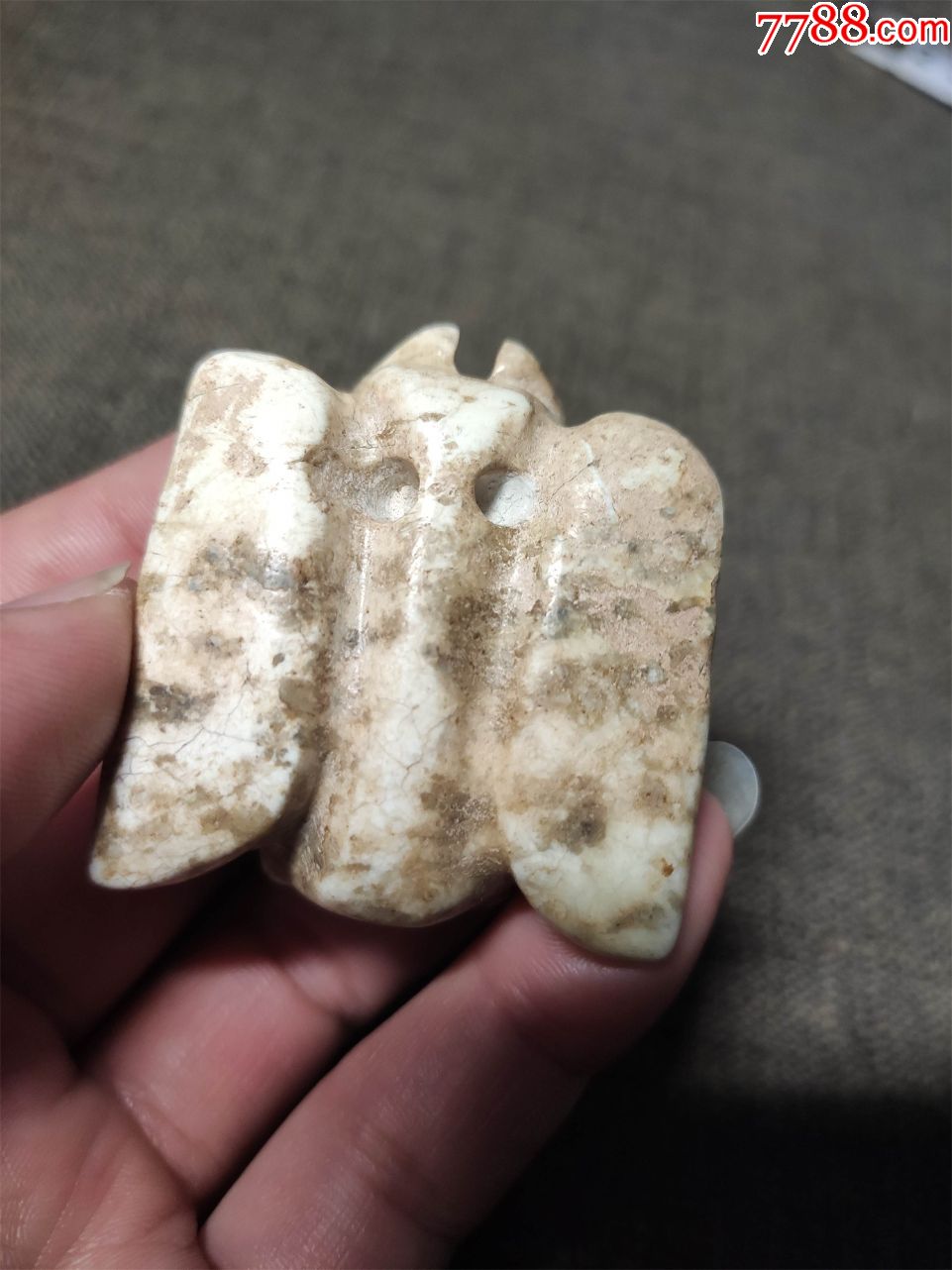 鸡骨白玉枭