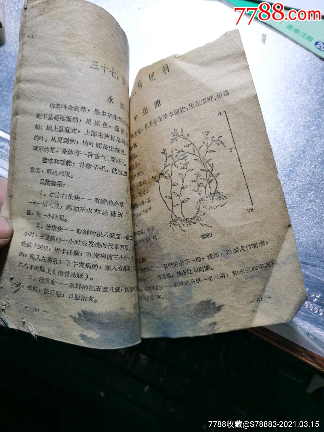 福建民间草药